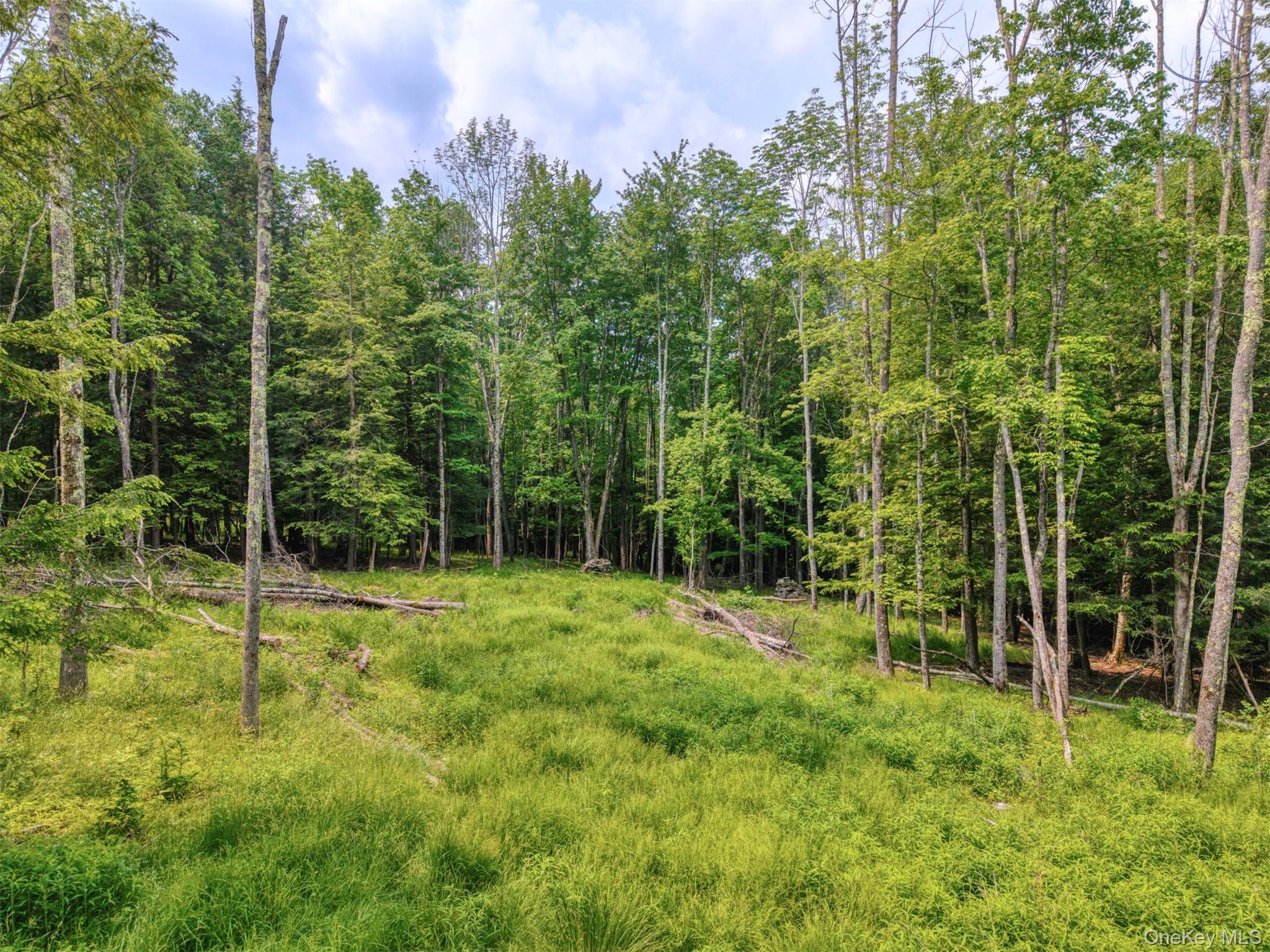 TBD Boulder Brook lot B12 Road – For Sale photo 5