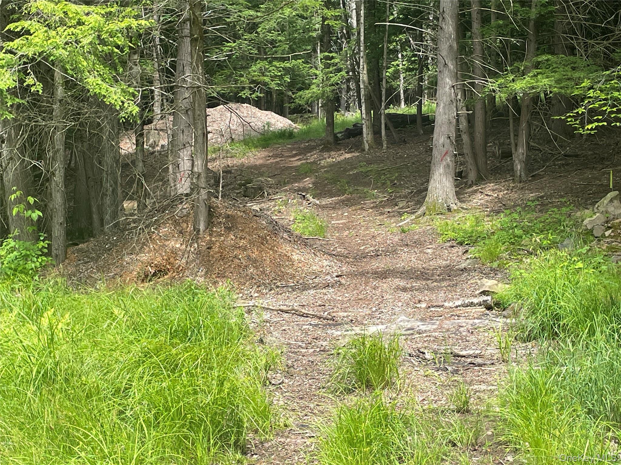 TBD Boulder Brook lot B12 Road – For Sale photo 3