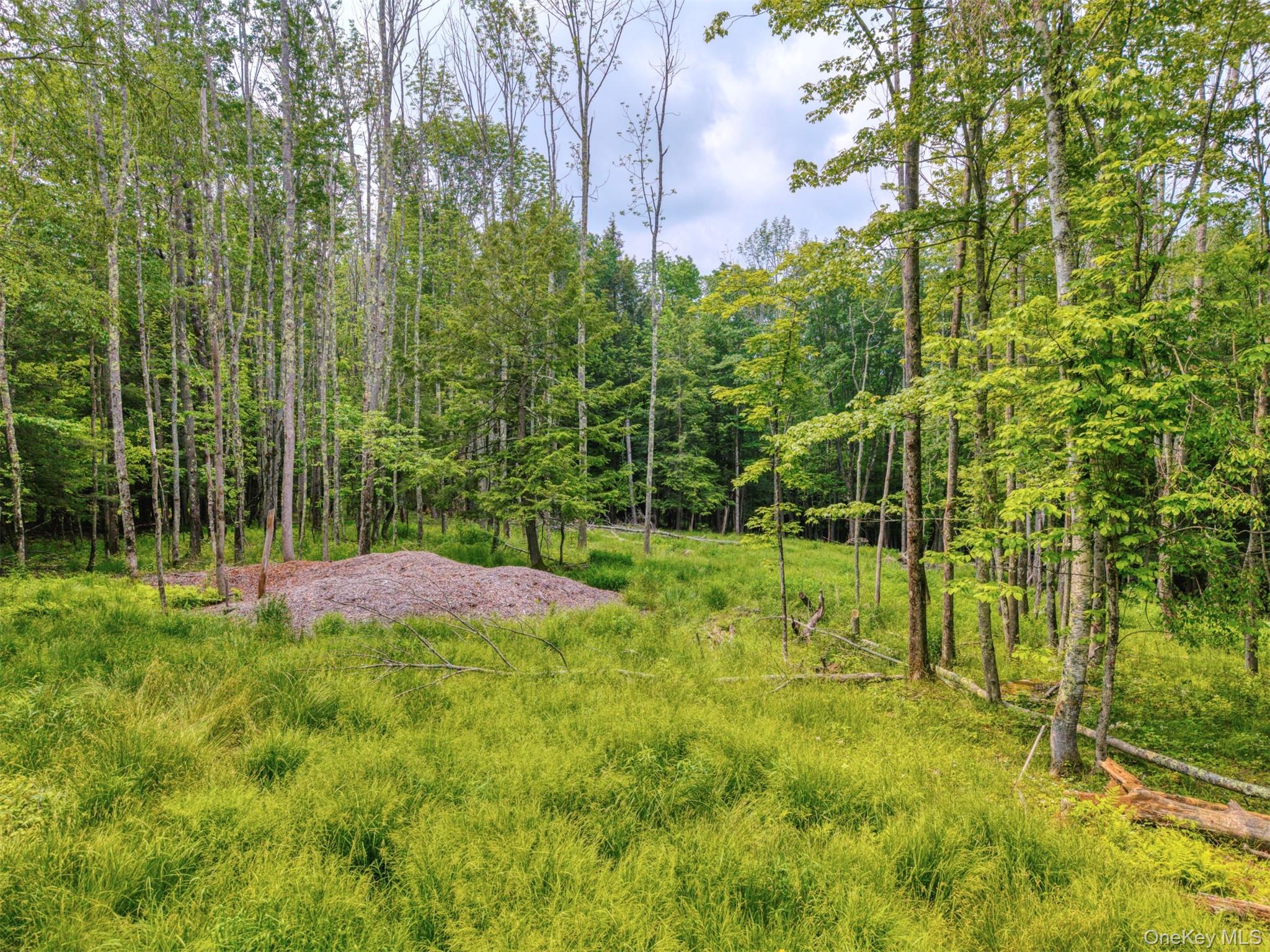 TBD Boulder Brook lot B12 Road – For Sale photo 10