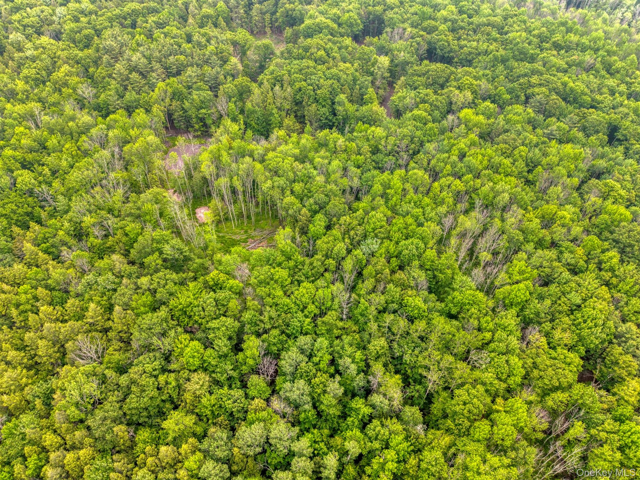 TBD Boulder Brook lot B12 Road – For Sale photo 32