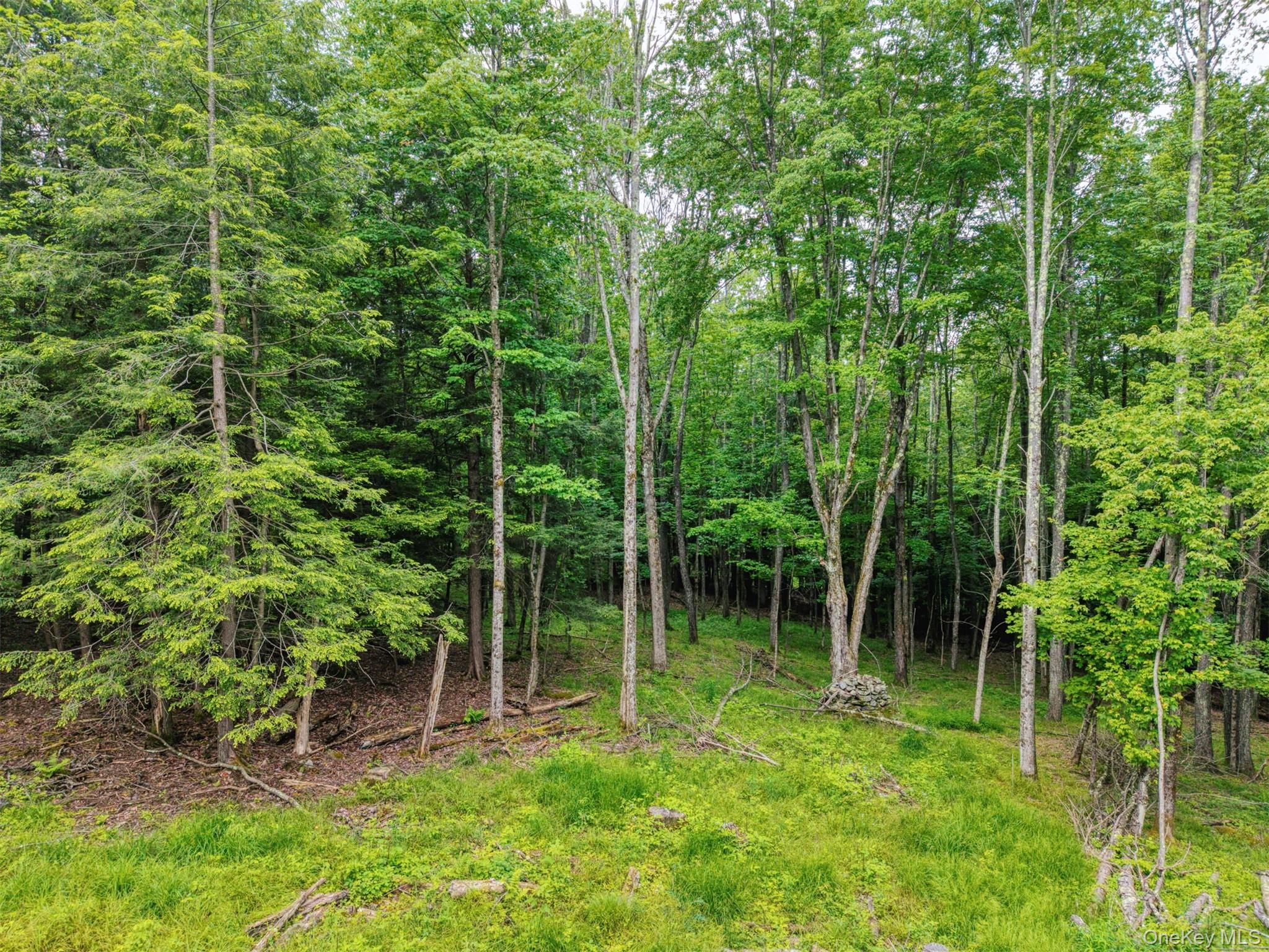 TBD Boulder Brook lot B12 Road – For Sale photo 6
