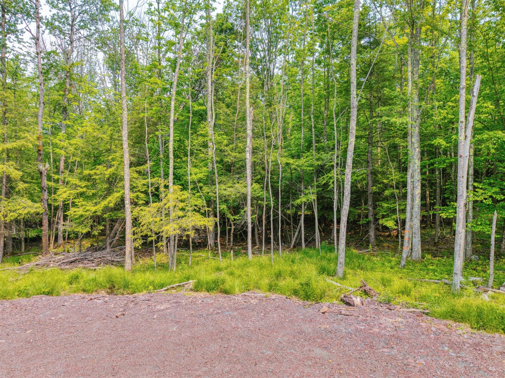 TBD Boulder Brook lot 13B Road – For Sale photo 48