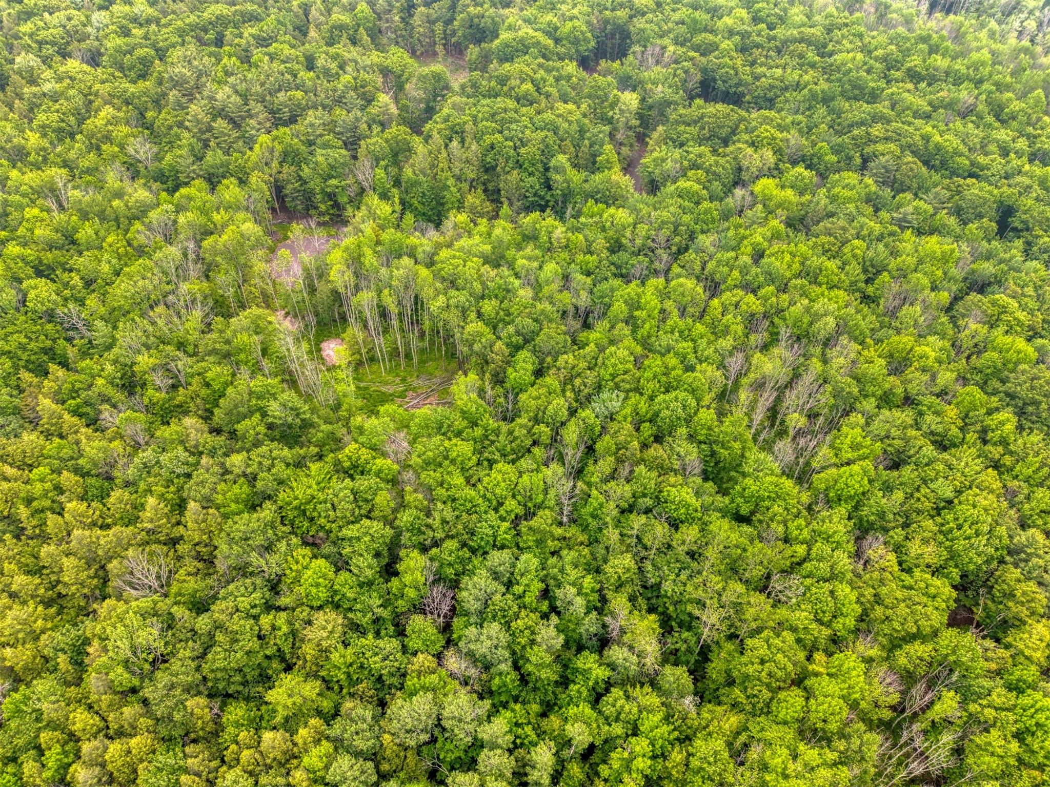 TBD Boulder Brook lot 13B Road – For Sale photo 38