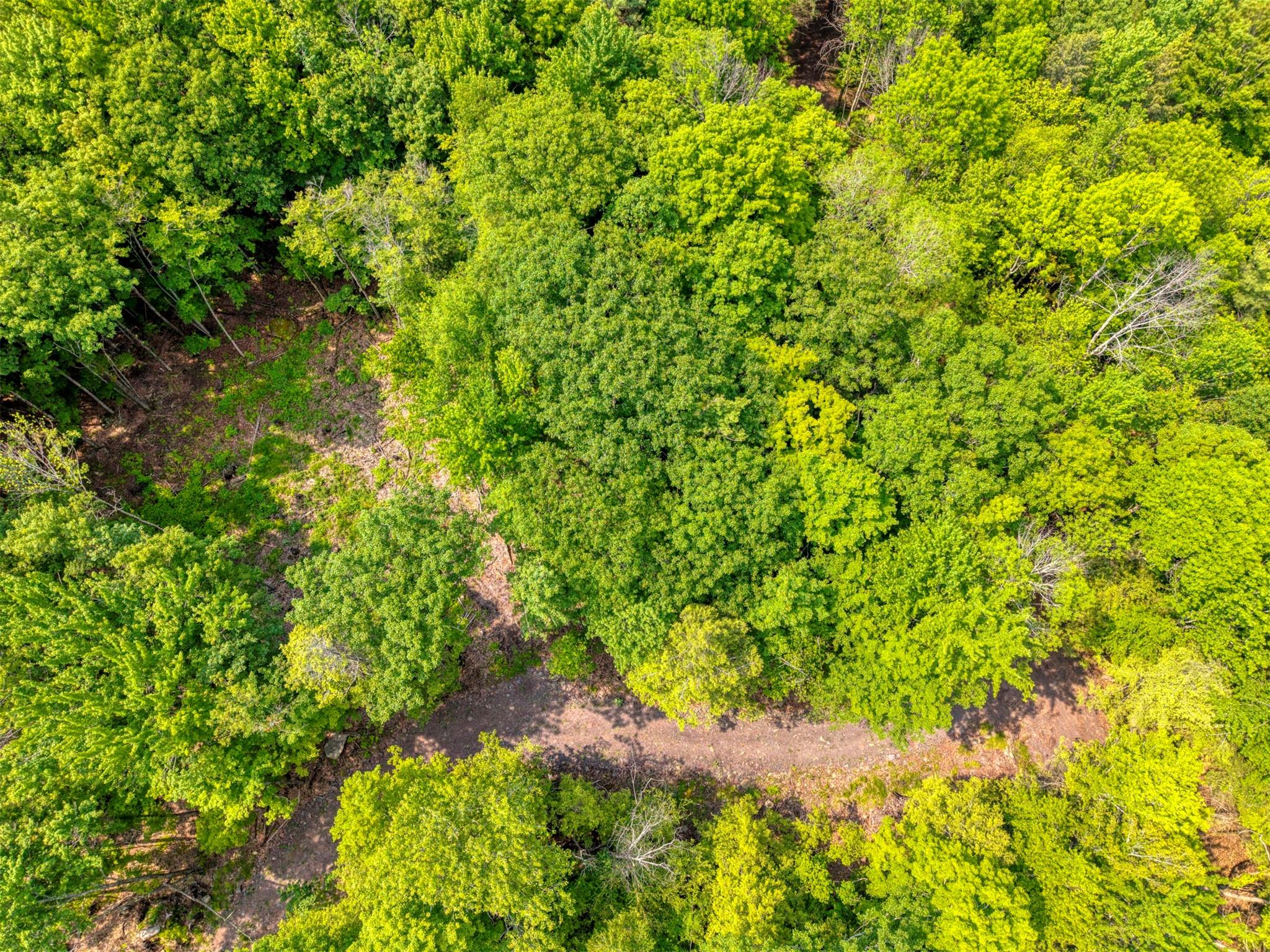 TBD Boulder Brook lot 13B Road – For Sale photo 19