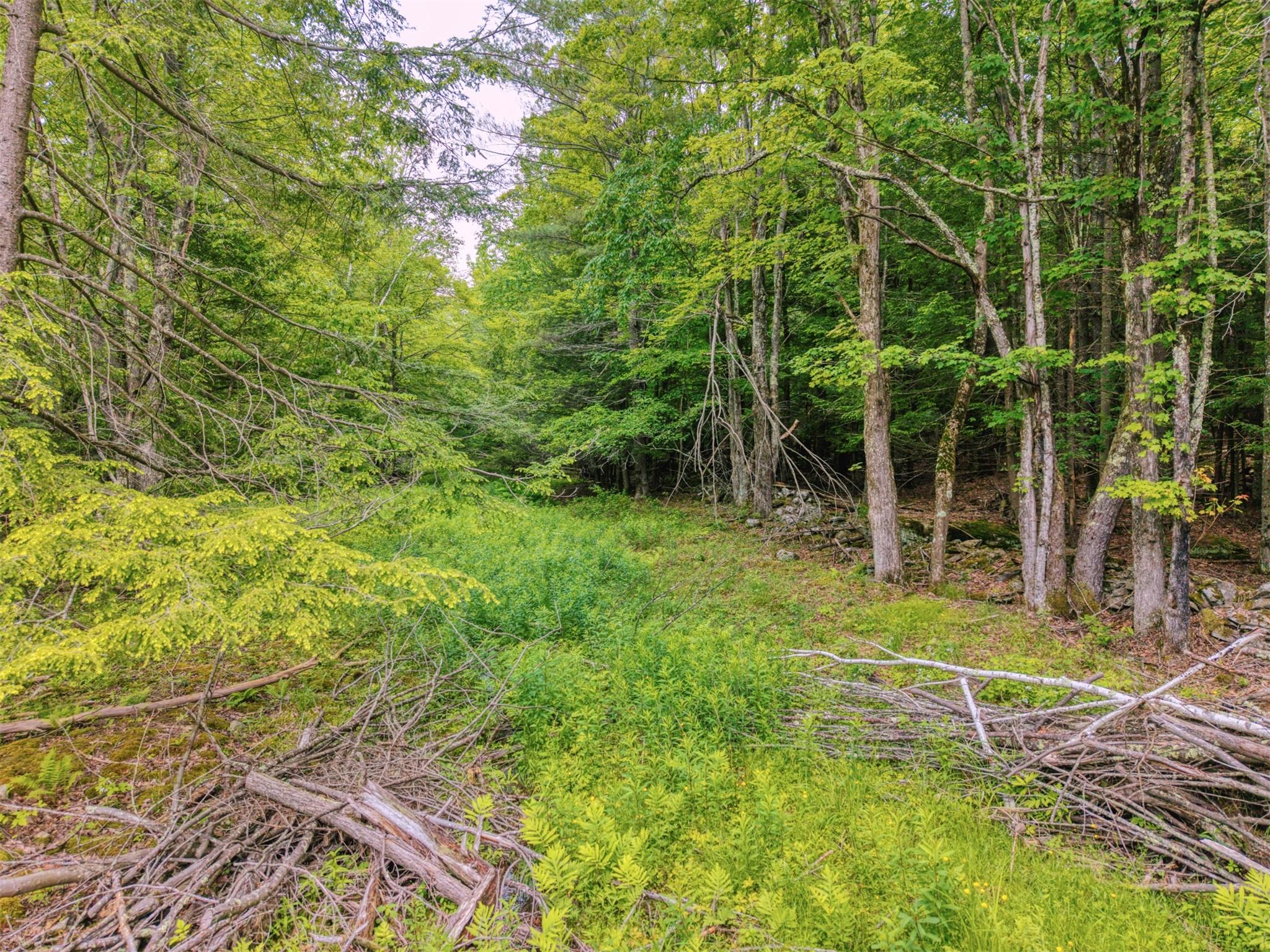 TBD Boulder Brook lot 13B Road – For Sale photo 6