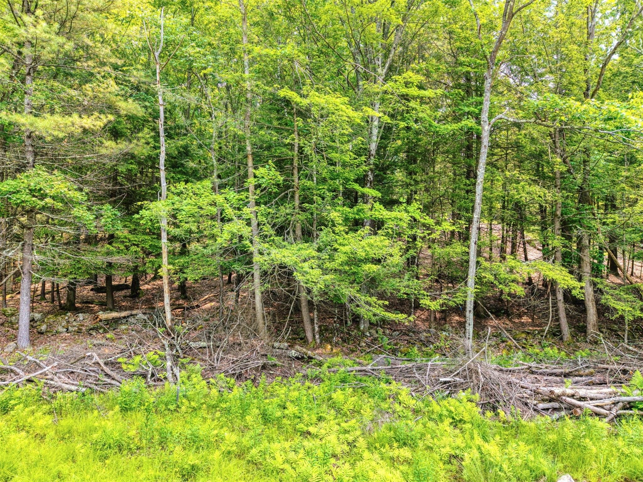 TBD Boulder Brook lot 13B Road – For Sale photo 7