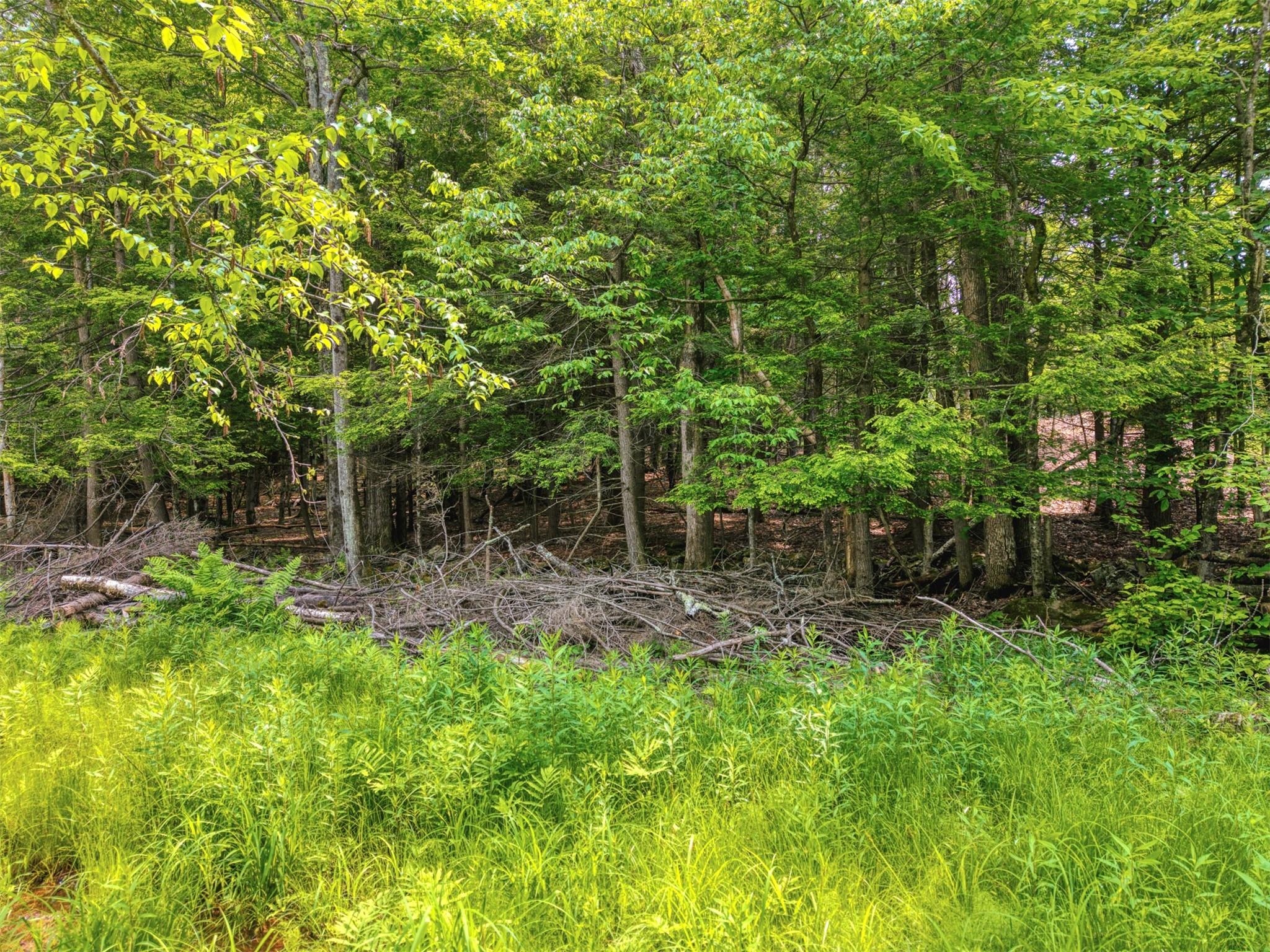 TBD Boulder Brook lot 13B Road – For Sale photo 5
