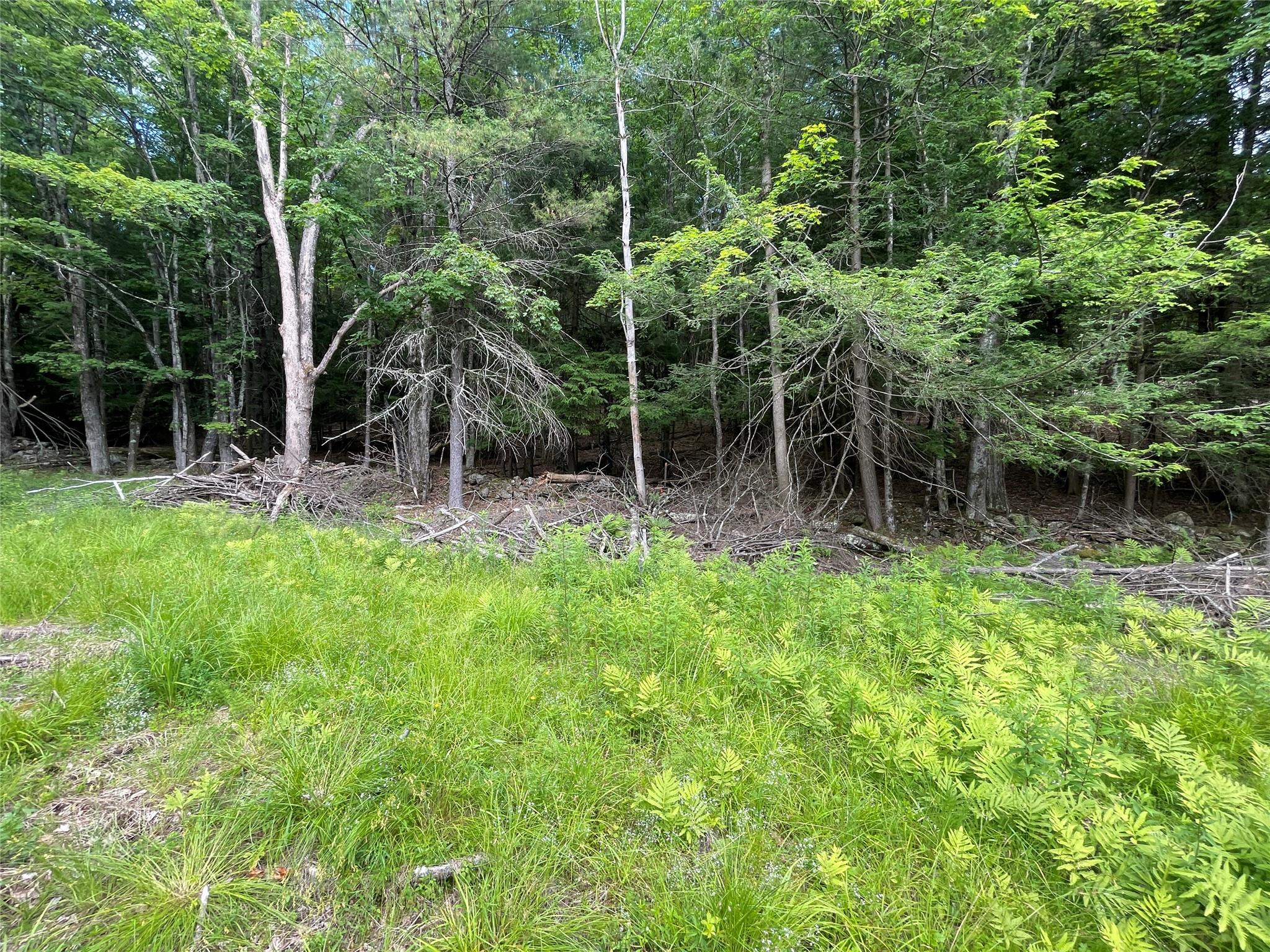 TBD Boulder Brook lot 13B Road – For Sale photo 4