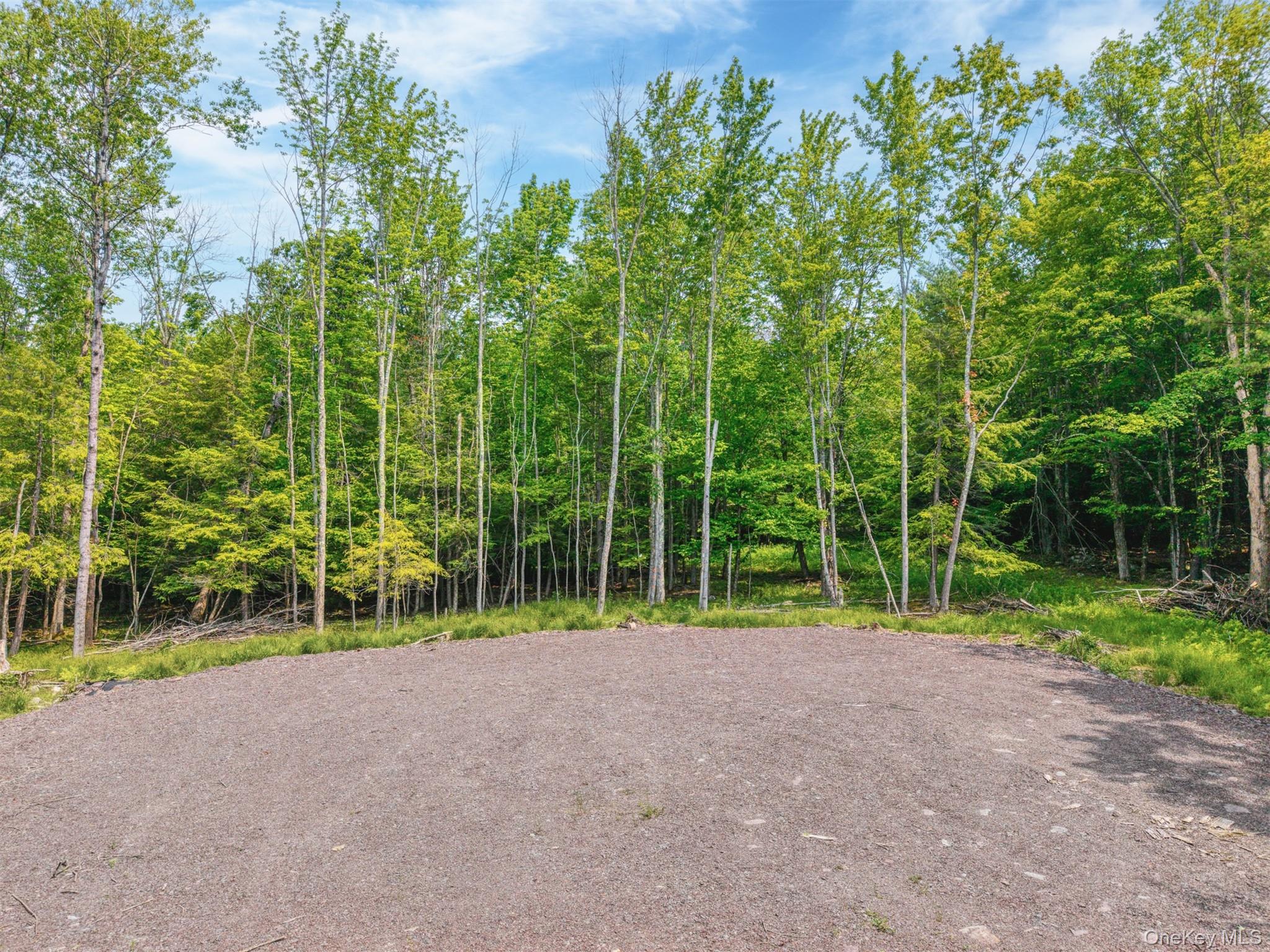 TBD Boulder Brook Lot 11 Road – For Sale photo 27