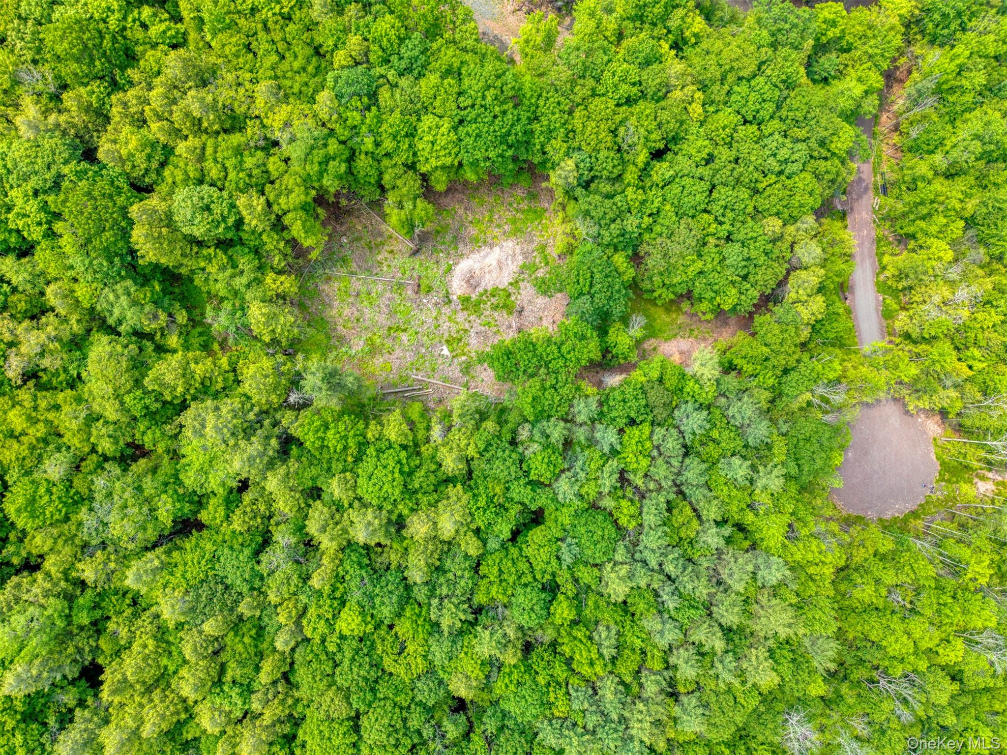 TBD Boulder Brook Lot 11 Road – For Sale photo 21