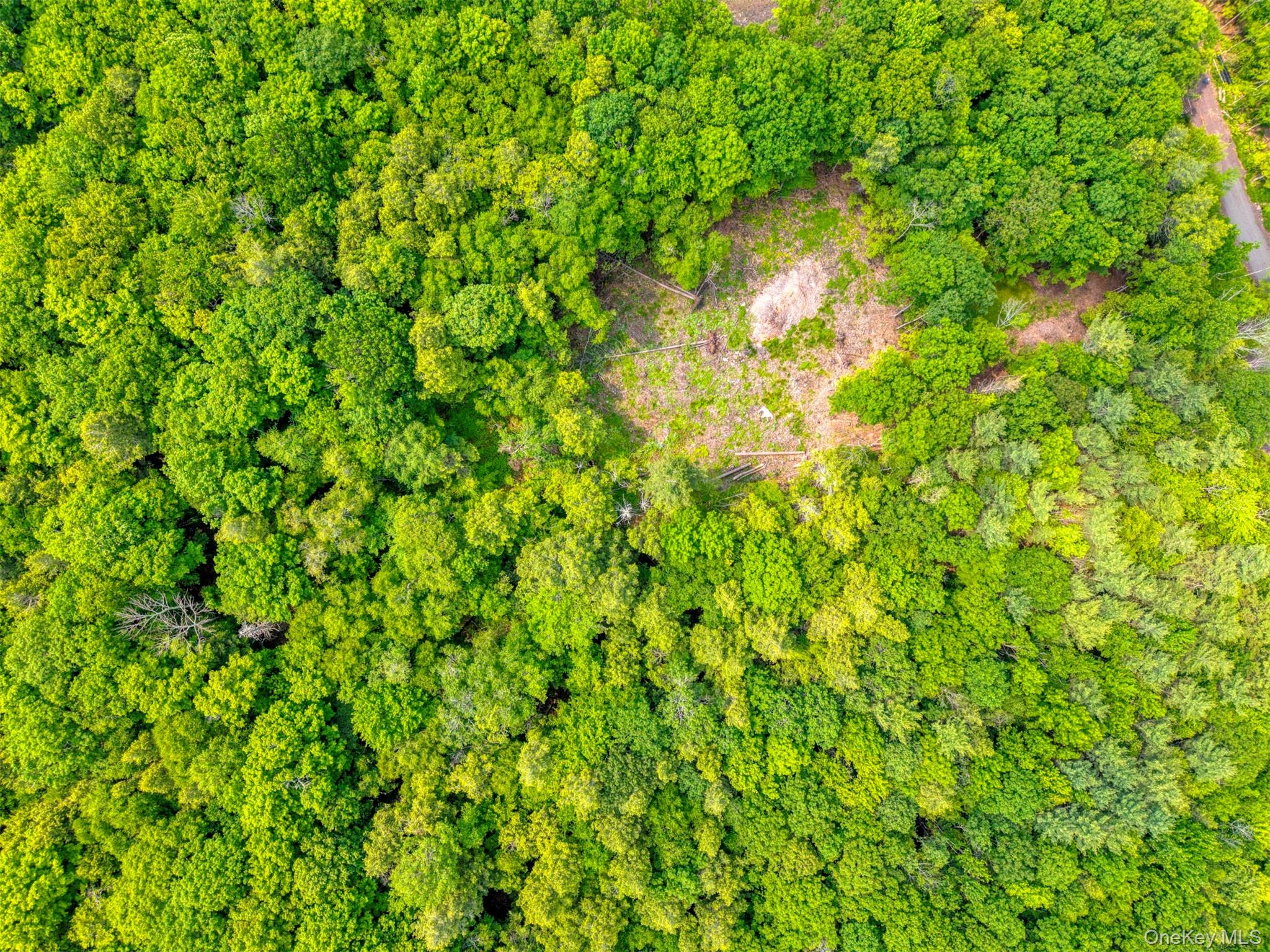 TBD Boulder Brook Lot 11 Road – For Sale photo 22