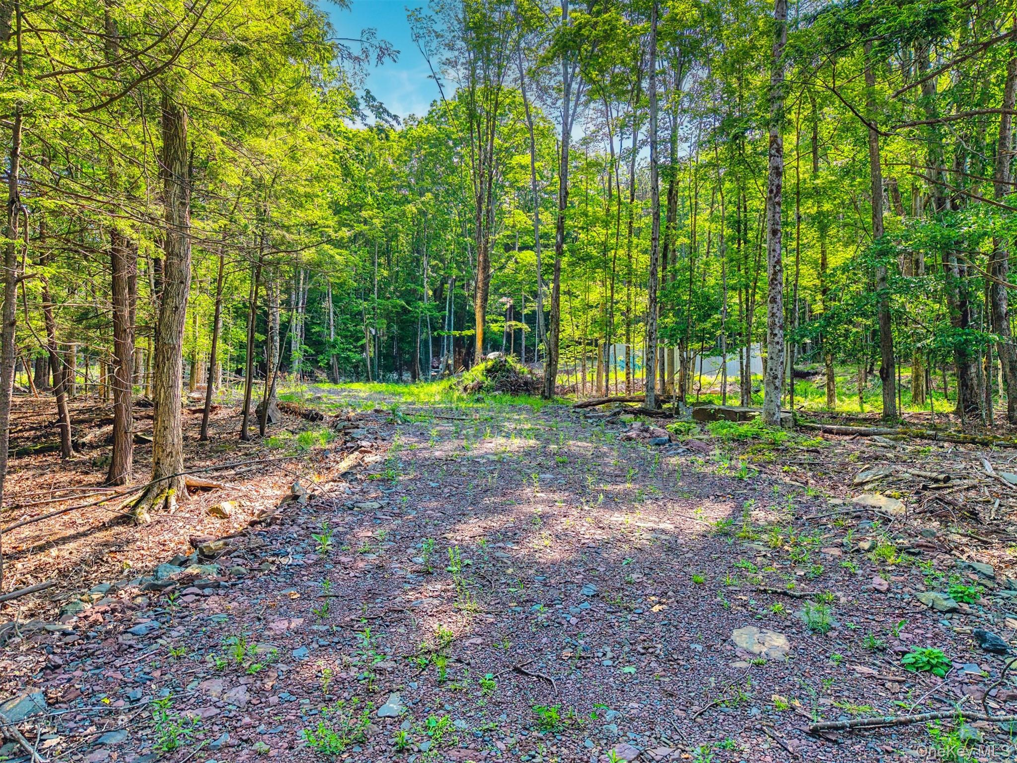 TBD Boulder Brook Lot 11 Road – For Sale photo 26