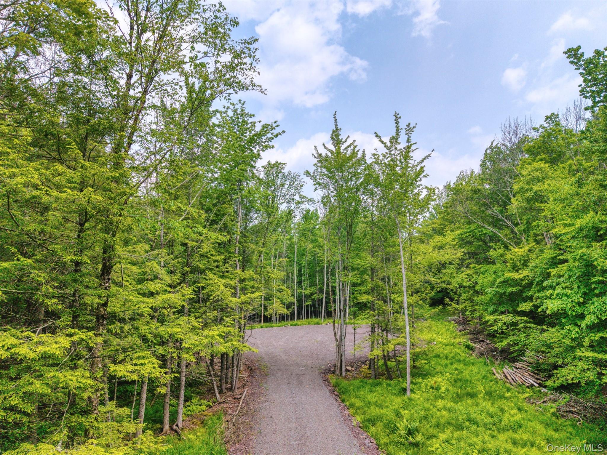 TBD Boulder Brook Lot 11 Road – For Sale photo 29