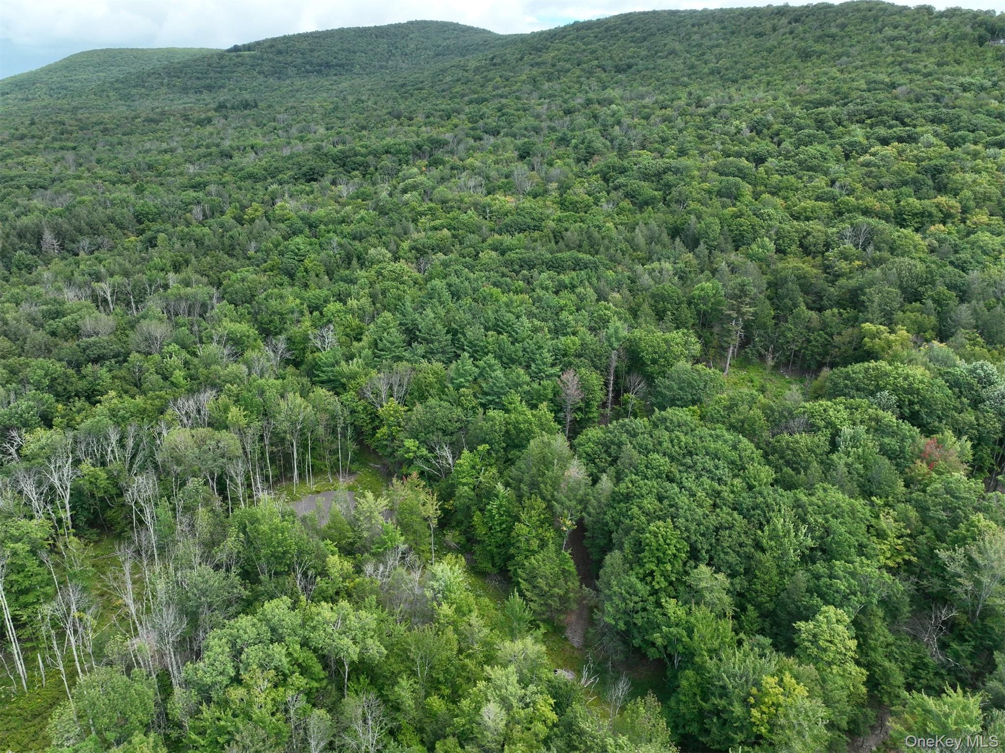 TBD Boulder Brook Lot 11 Road – For Sale photo 49