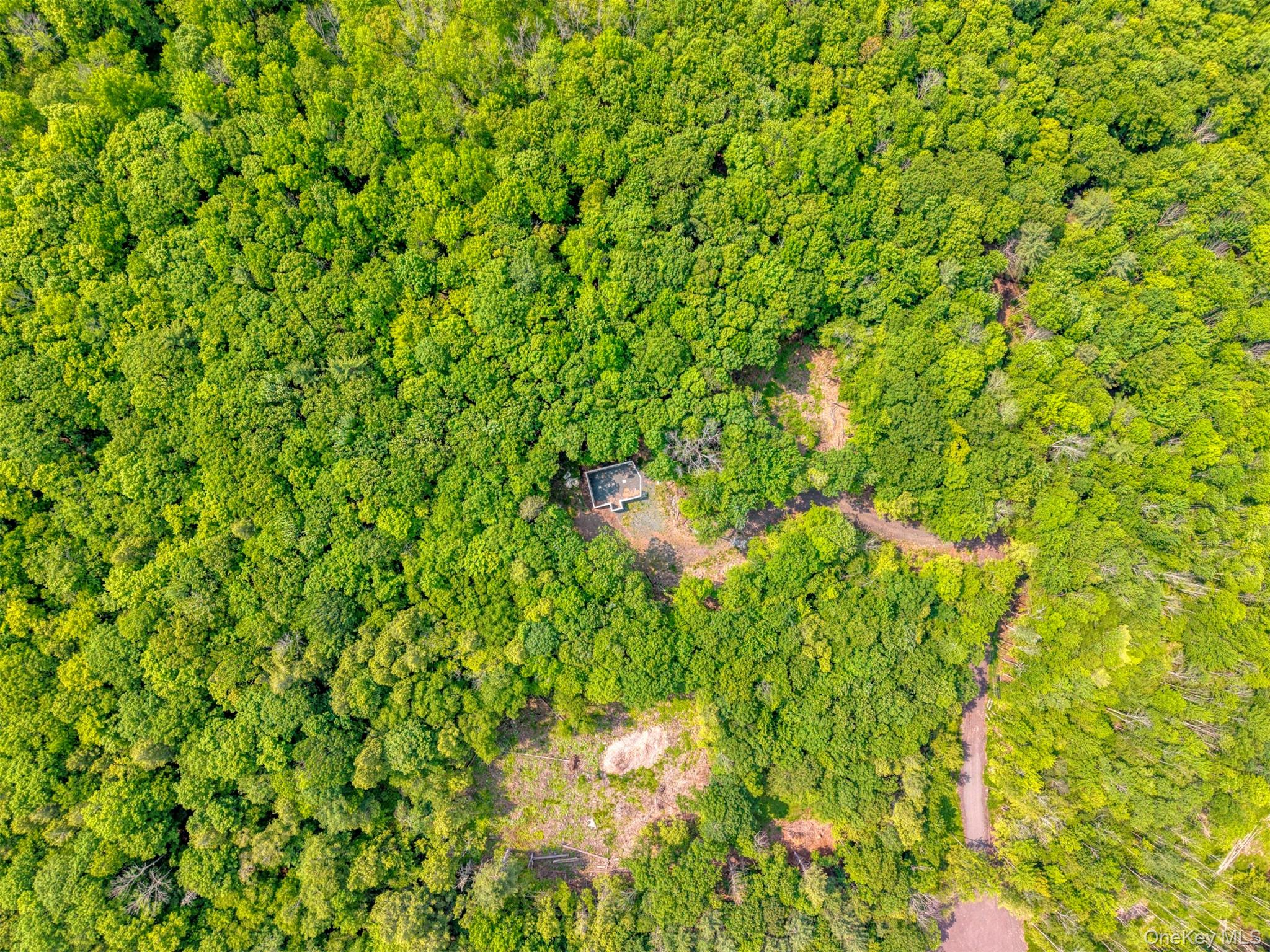 TBD Boulder Brook Lot 11 Road – For Sale photo 16