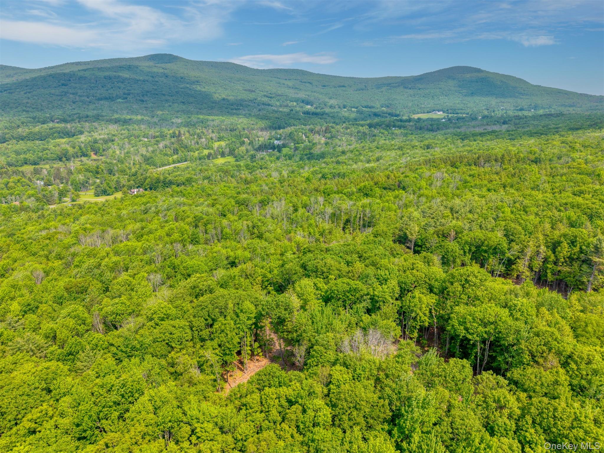TBD Boulder Brook Lot 11 Road – For Sale photo 12