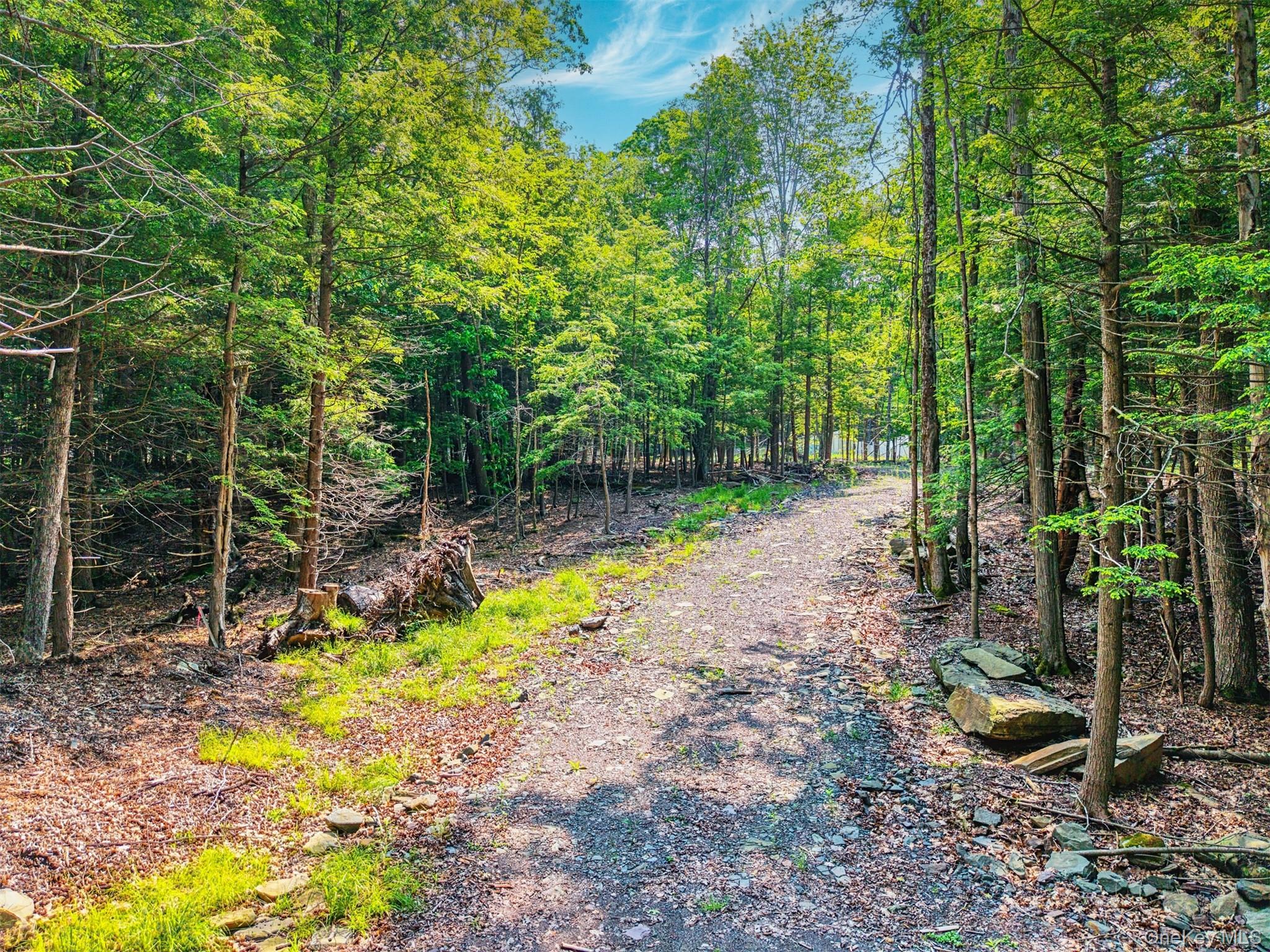TBD Boulder Brook Lot 11 Road – For Sale photo 25