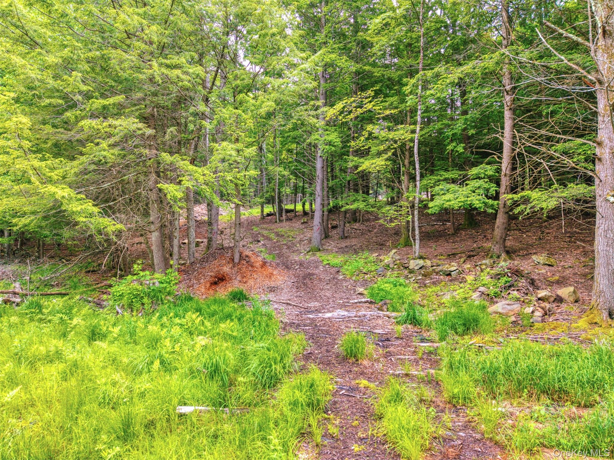 TBD Boulder Brook lots 33-38 Road – For Sale photo 18