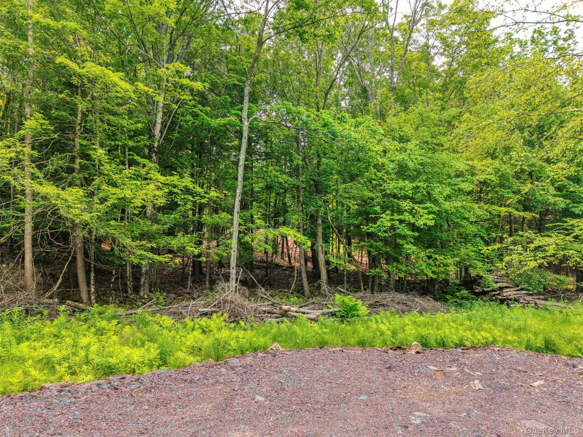 TBD Boulder Brook lots 33-38 Road – For Sale photo 19