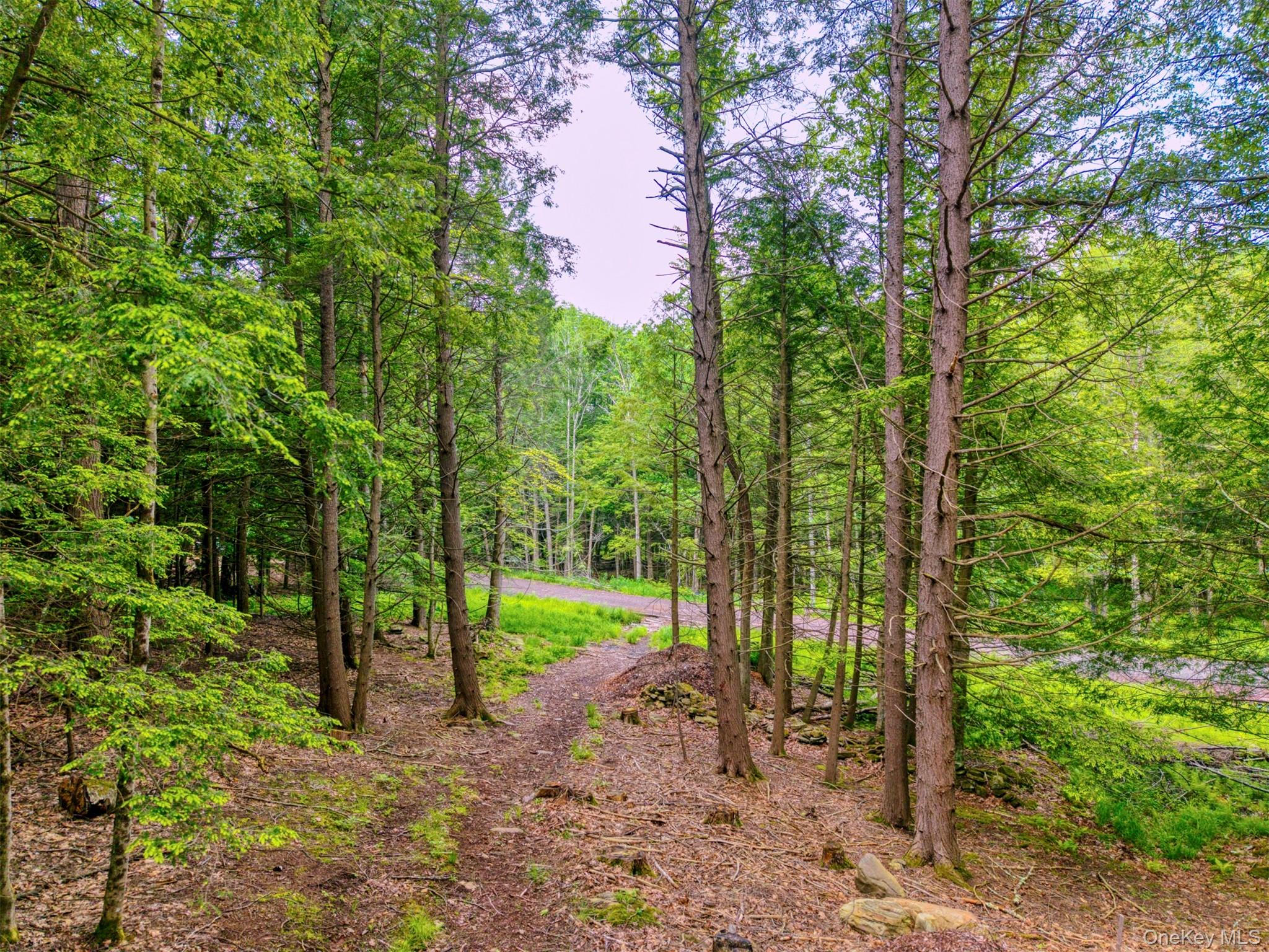 TBD Boulder Brook lots 33-38 Road – For Sale photo 17