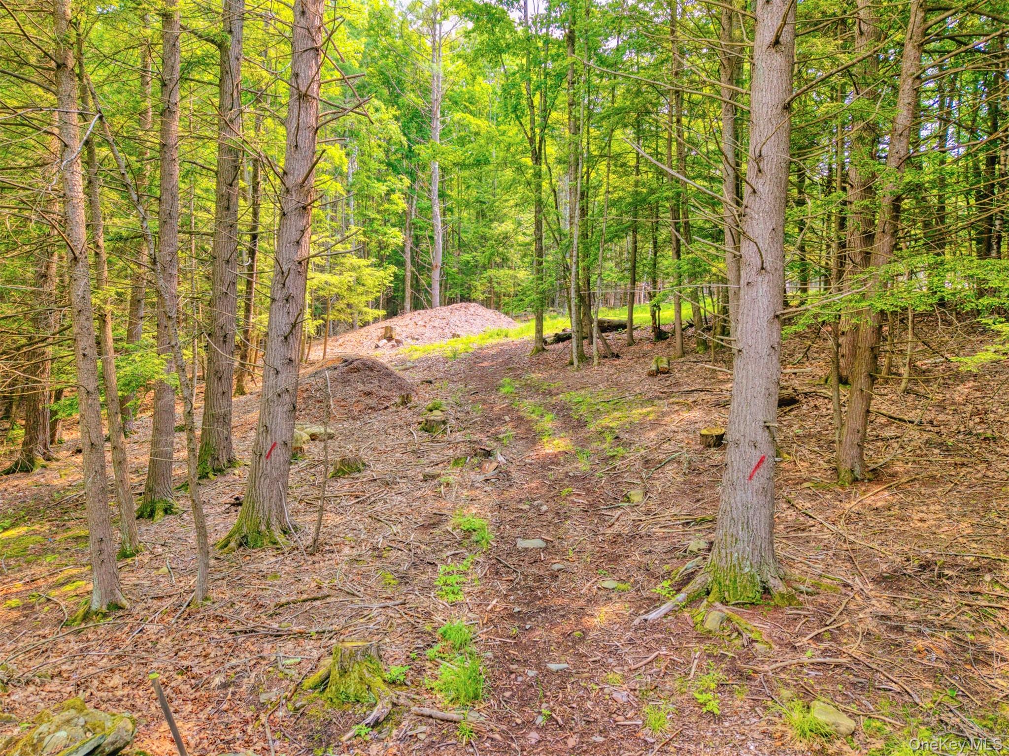 TBD Boulder Brook lots 33-38 Road – For Sale photo 13