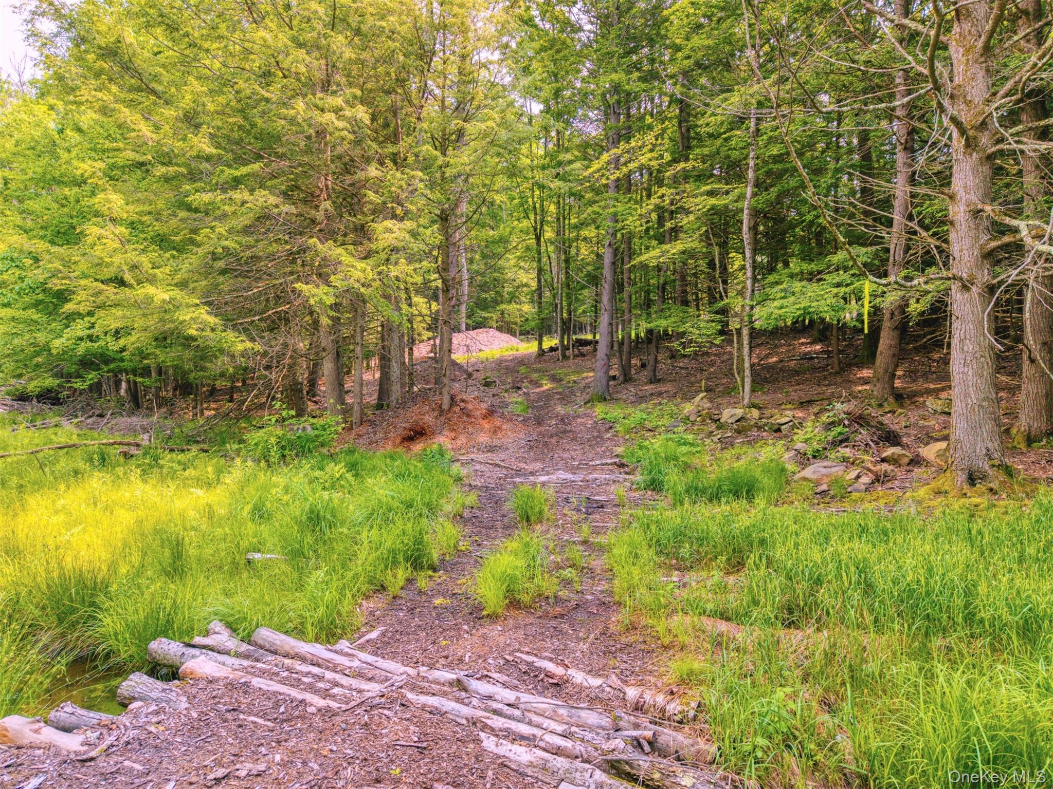 TBD Boulder Brook lots 33-38 Road – For Sale photo 12