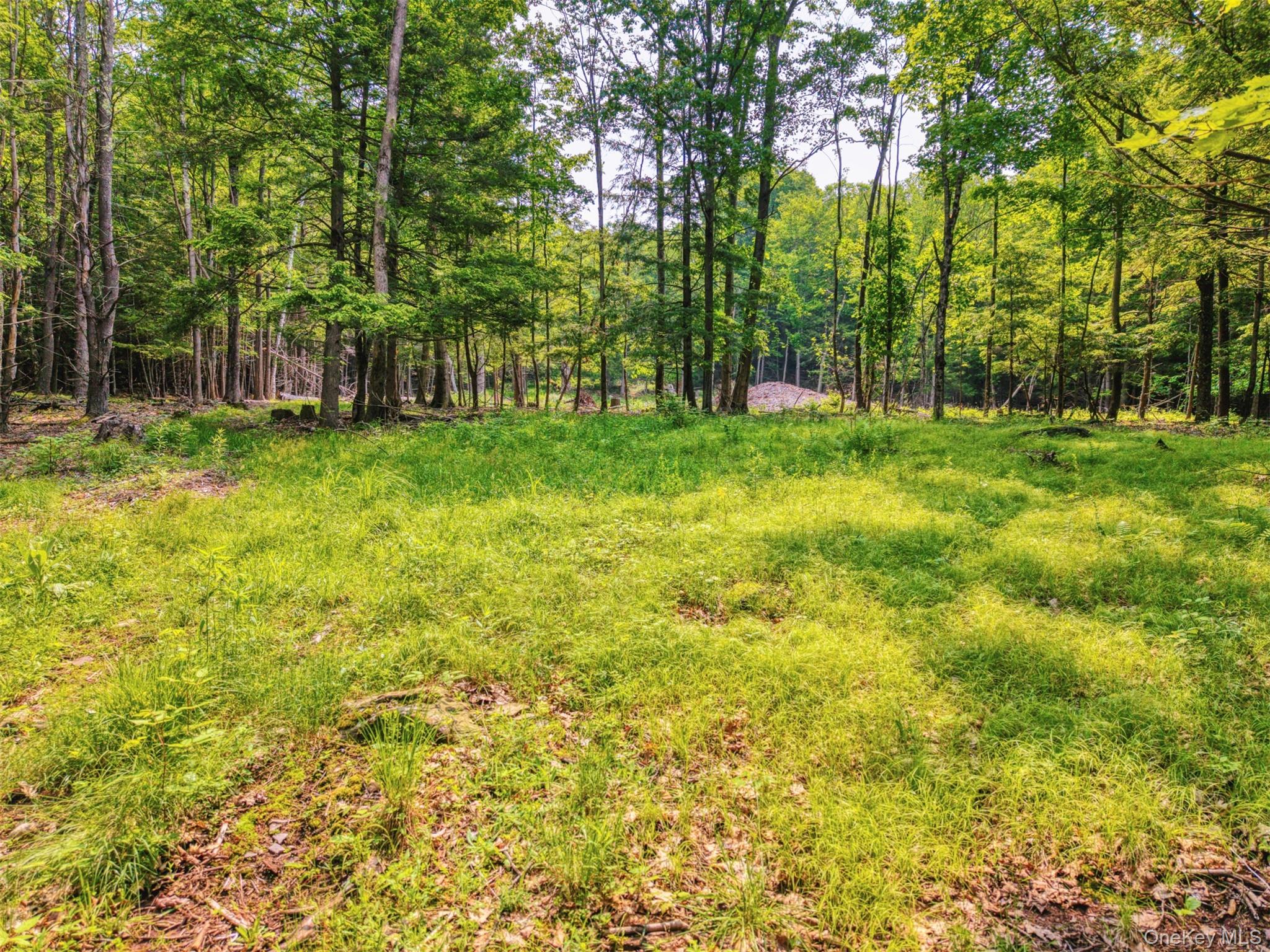 TBD Boulder Brook lots 33-38 Road – For Sale photo 14
