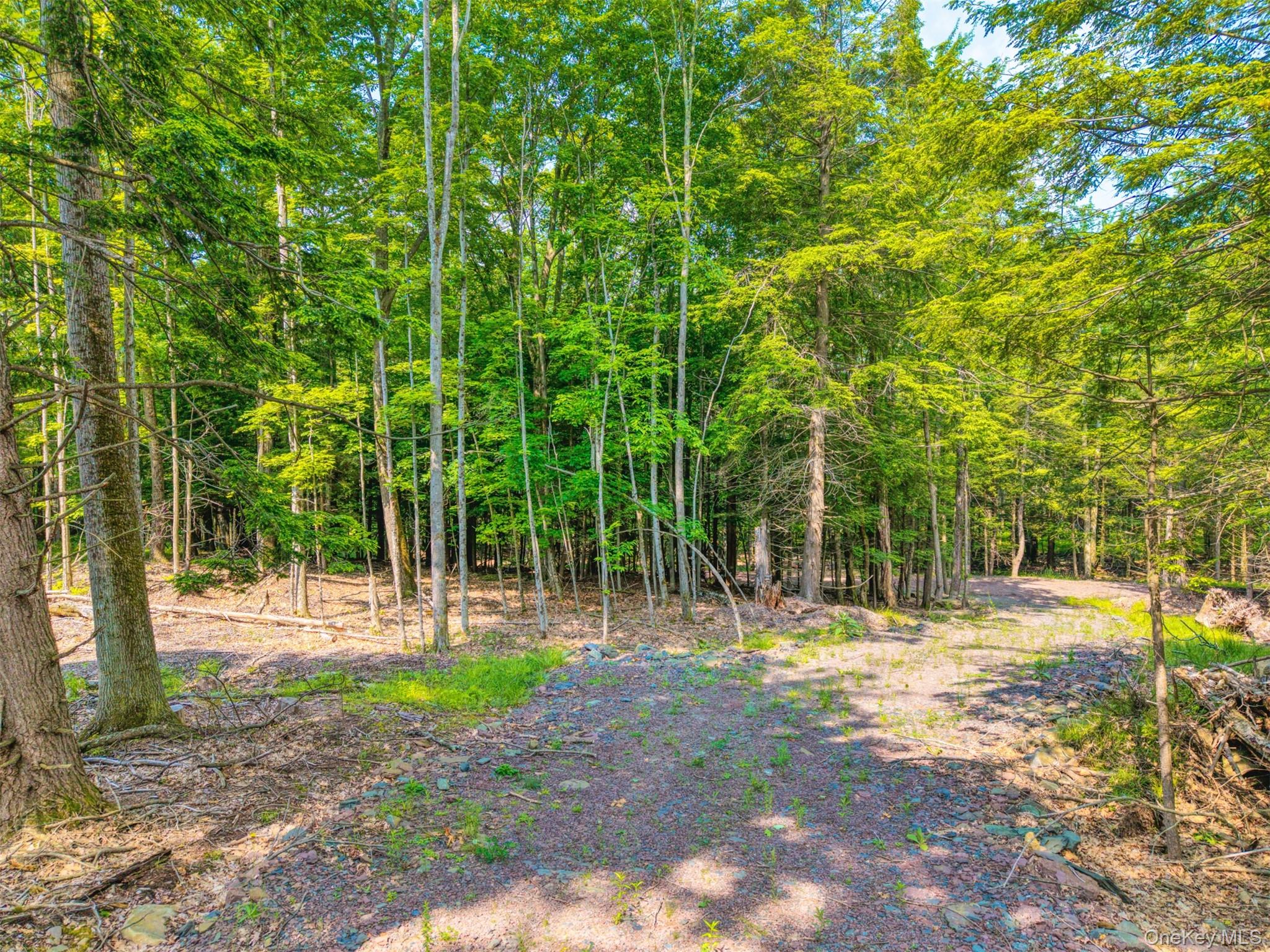 TBD Boulder Brook lots 33-38 Road – For Sale photo 8