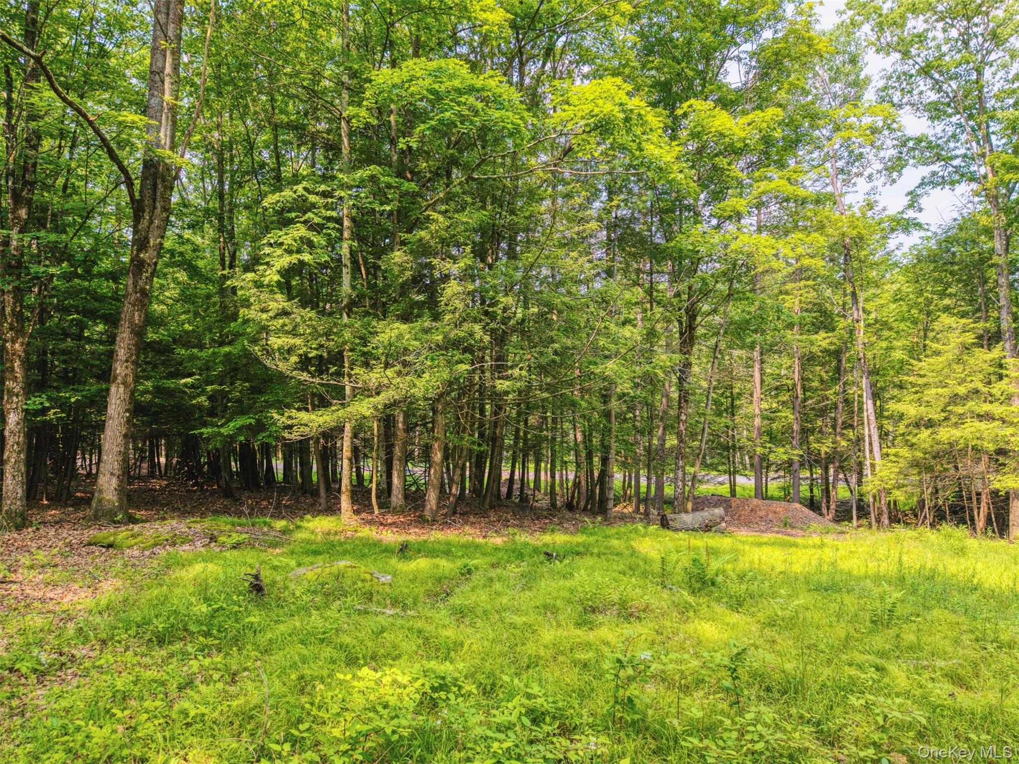 TBD Boulder Brook lots 33-38 Road – For Sale photo 15