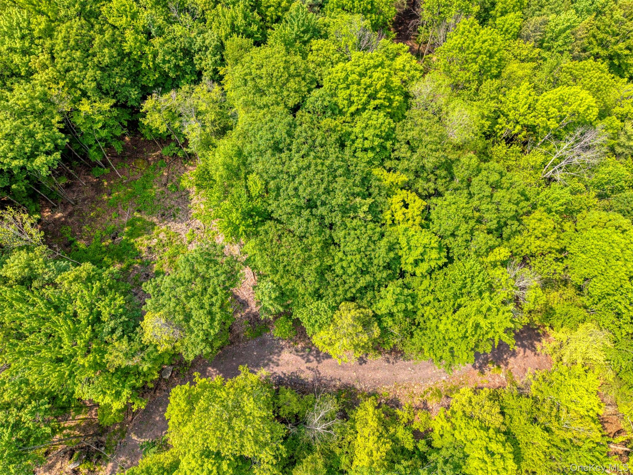 TBD Boulder Brook lots 33-38 Road – For Sale photo 34