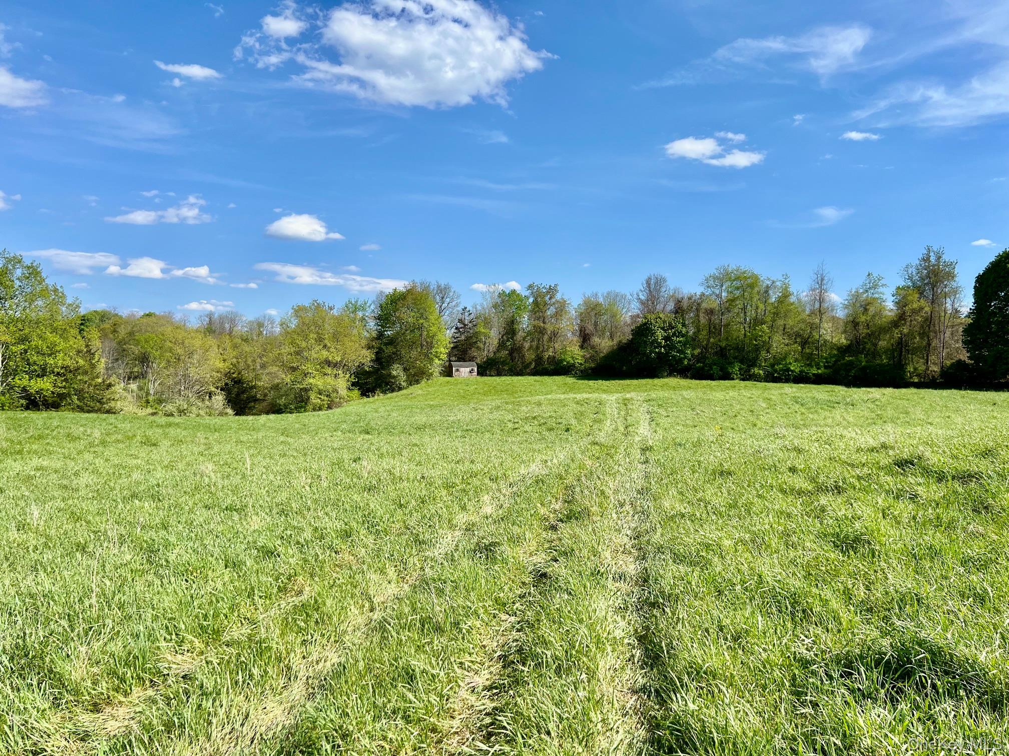 7668 Route 82 – For Sale photo 18
