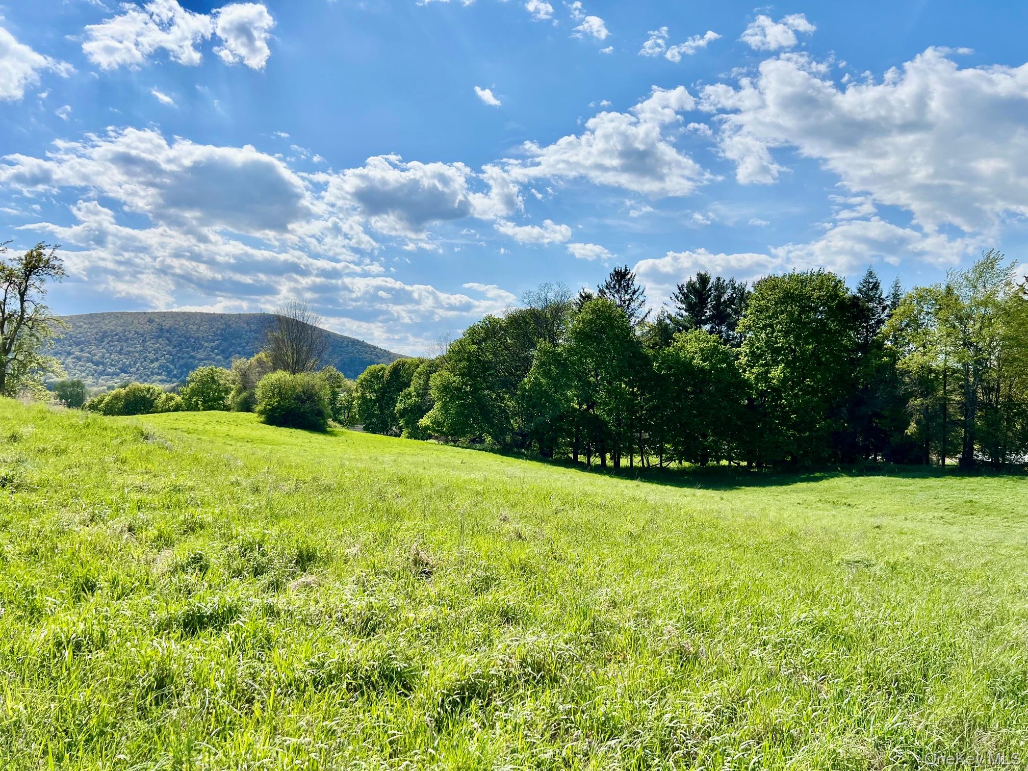 7668 Route 82 – For Sale photo 33
