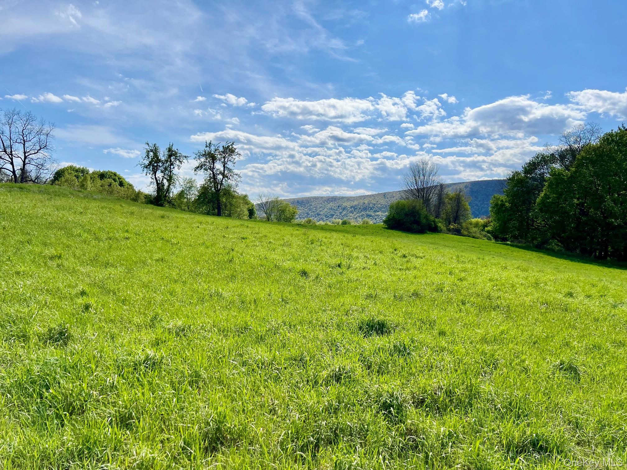 7668 Route 82 – For Sale photo 26