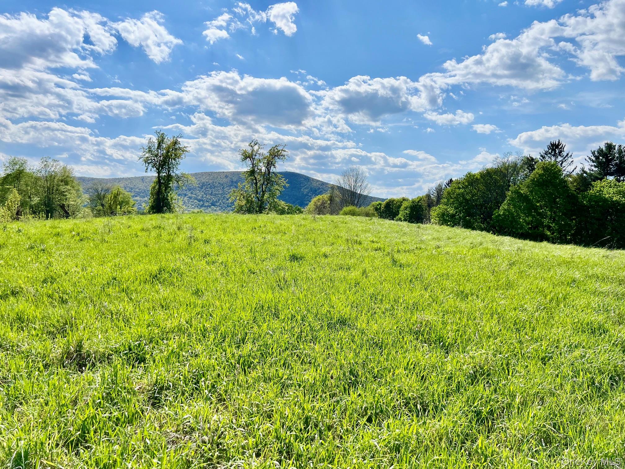 7668 Route 82 – For Sale photo 30