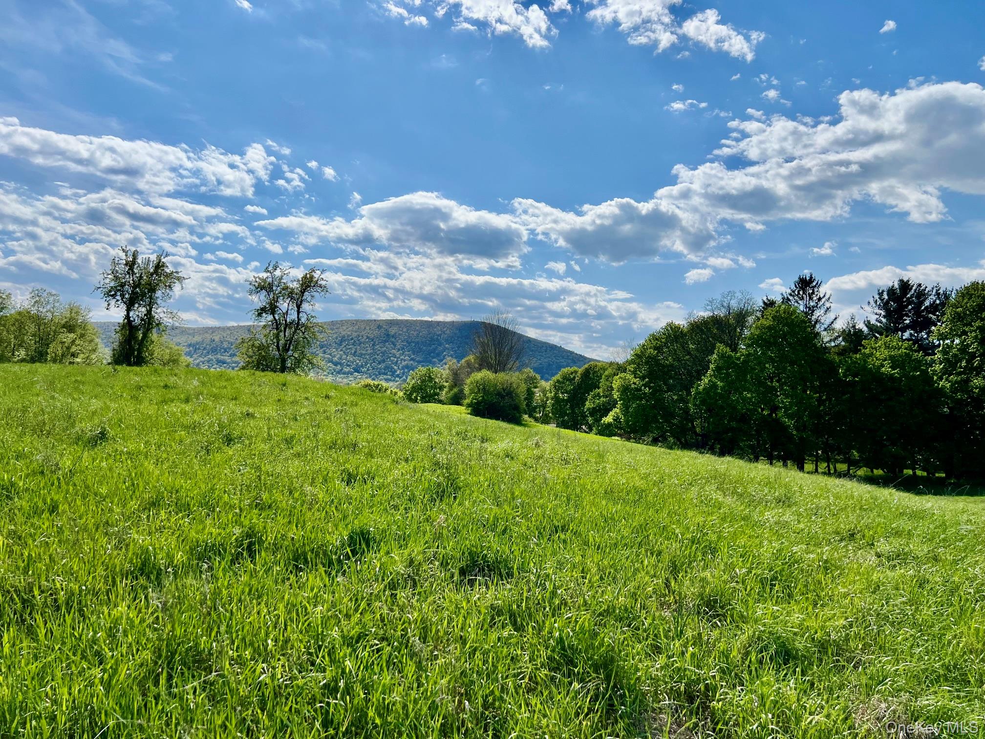 7668 Route 82 – For Sale photo 9