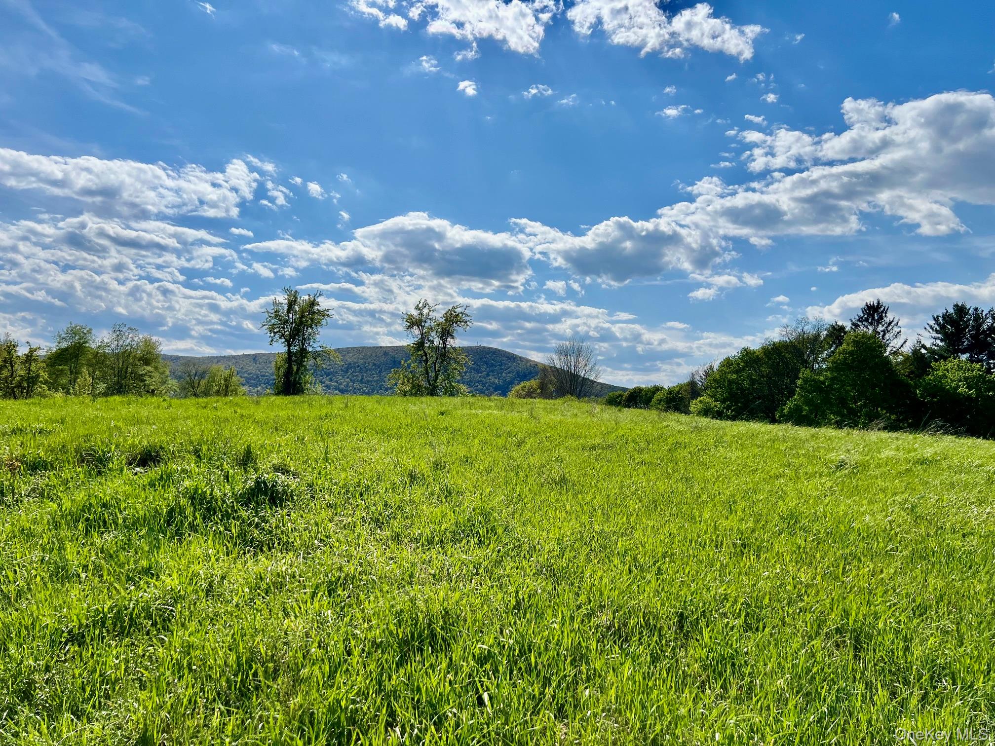 7668 Route 82 – For Sale photo 17