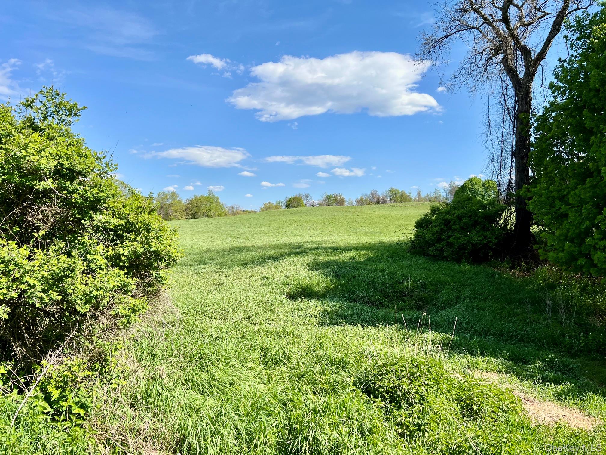 7668 Route 82 – For Sale photo 14