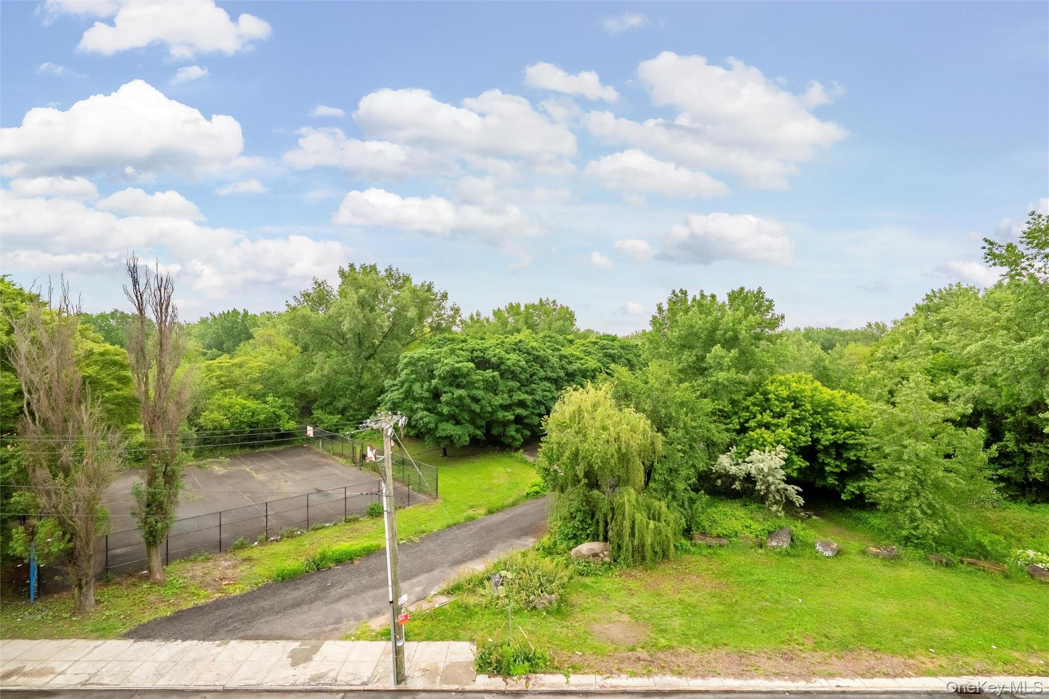 359 Bronx River Avenue, Unit 3B photo 24