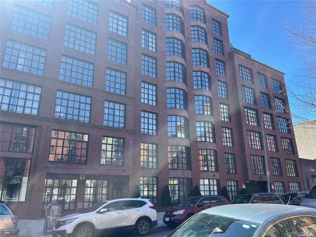 567 Saint Johns Place, Unit 8 photo 17