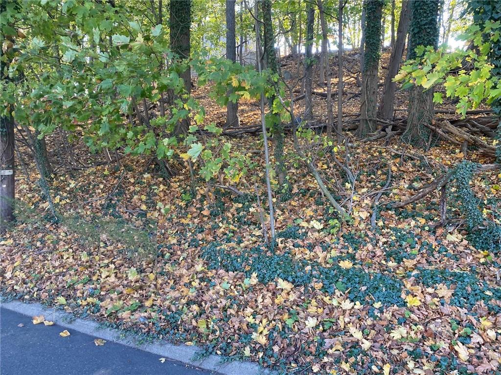 0 Ashford Ave Ashford Ave Avenue – For Sale photo 5