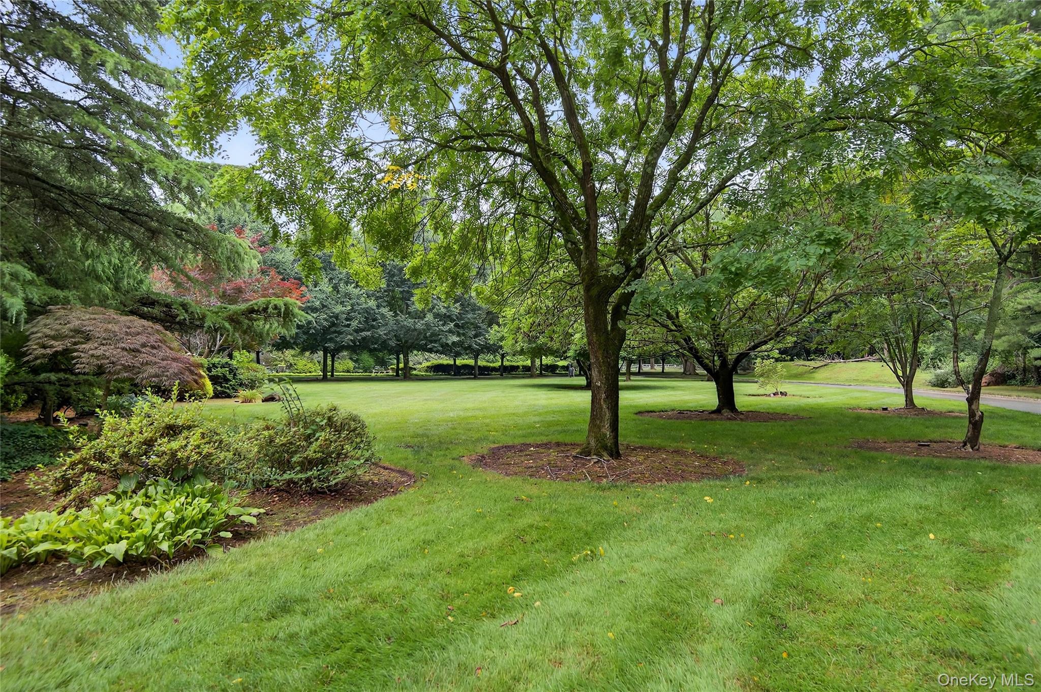 60 Piping Rock Road – For Sale photo 35