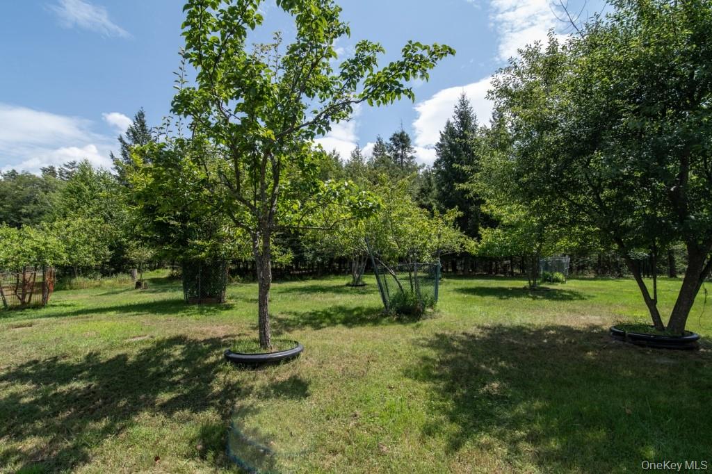 139 Haddock Road – For Sale photo 30