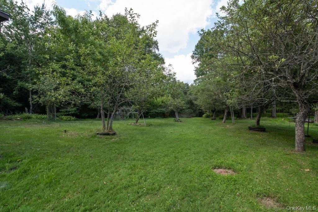139 Haddock Road – For Sale photo 36