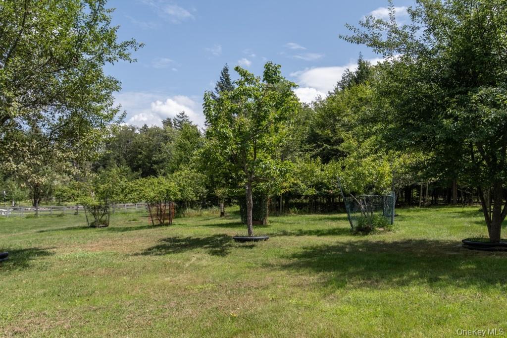 139 Haddock Road – For Sale photo 35