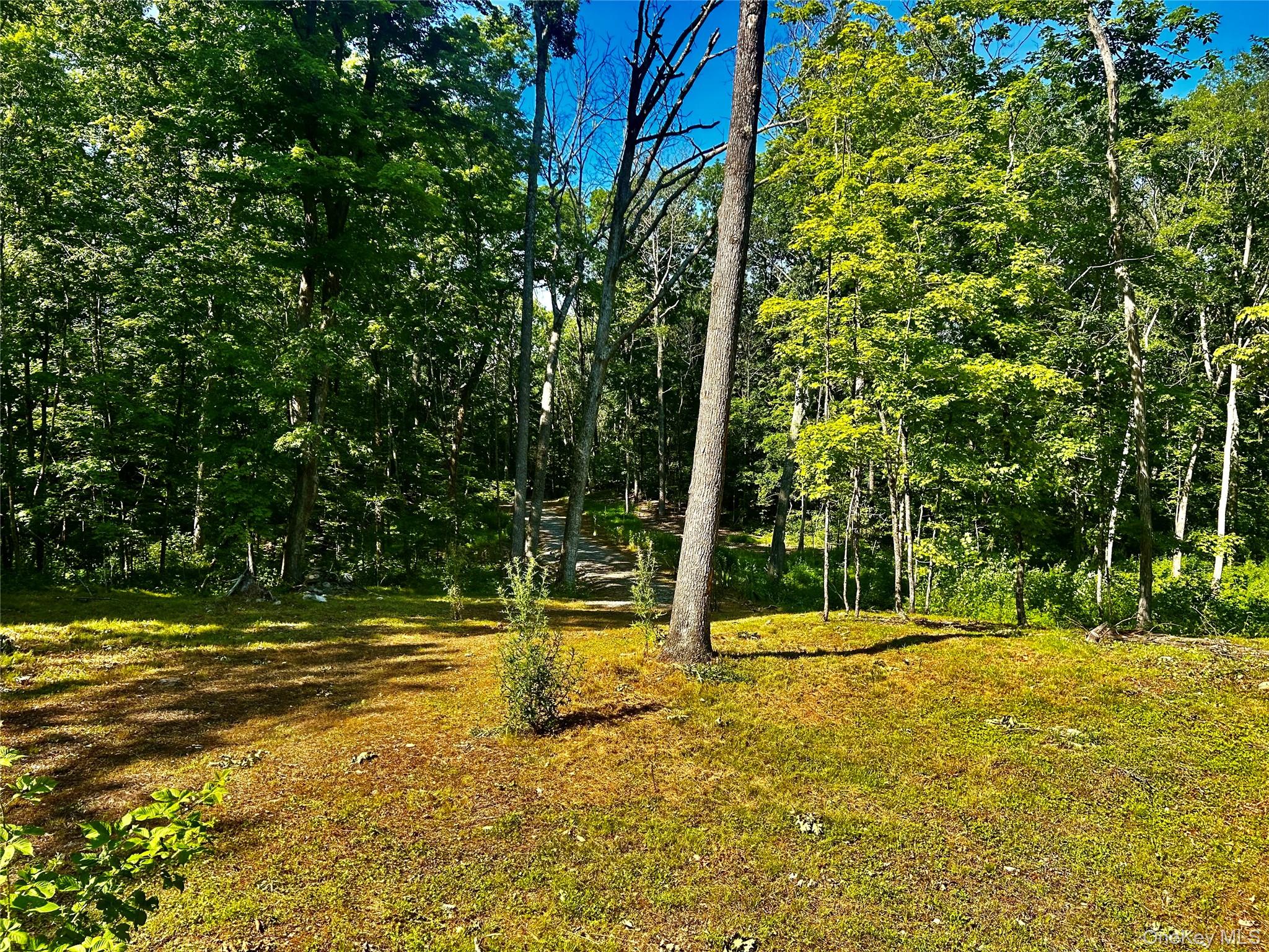 80 Forever Ivy Lane – For Sale photo 8