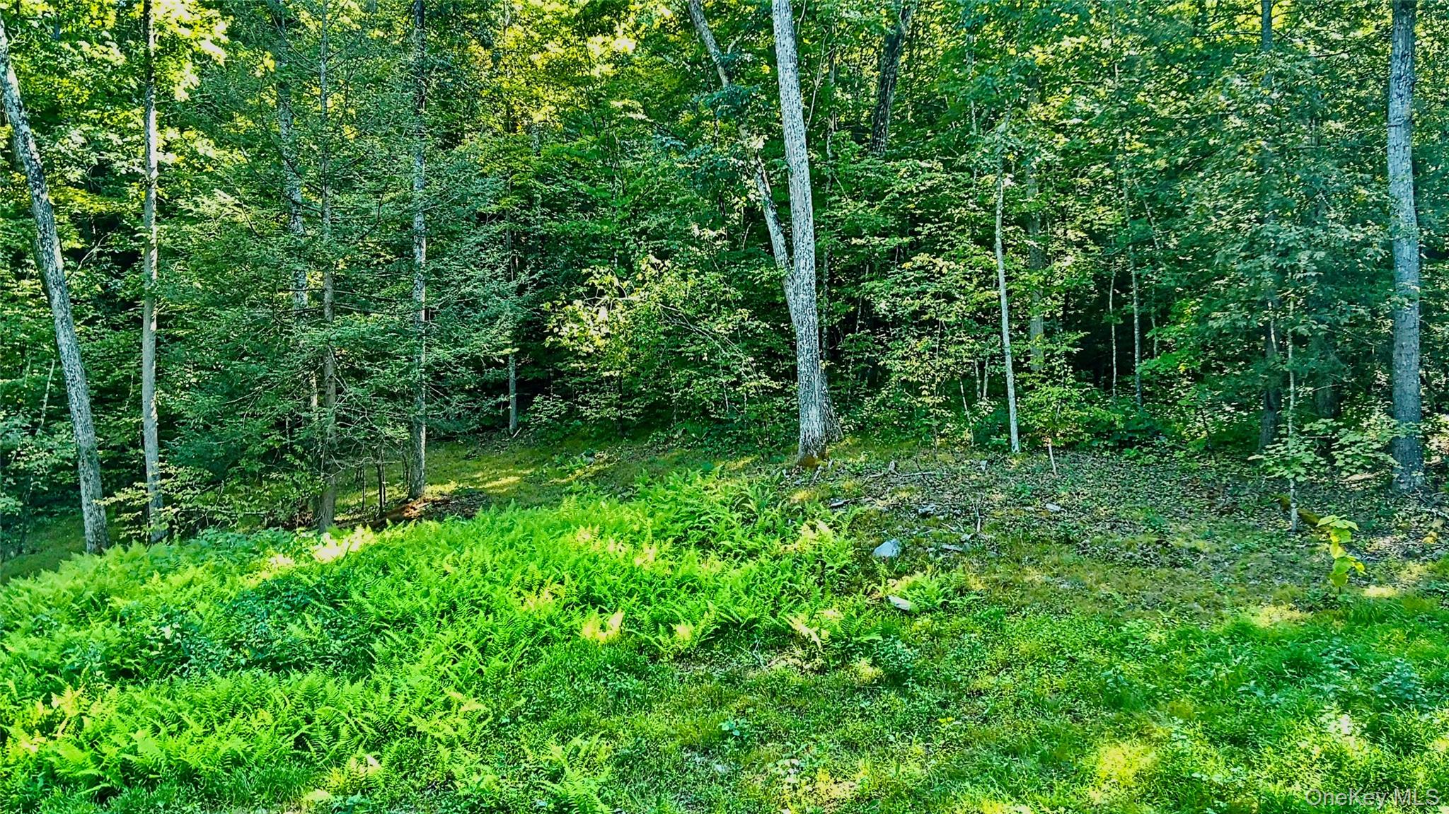 80 Forever Ivy Lane – For Sale photo 24