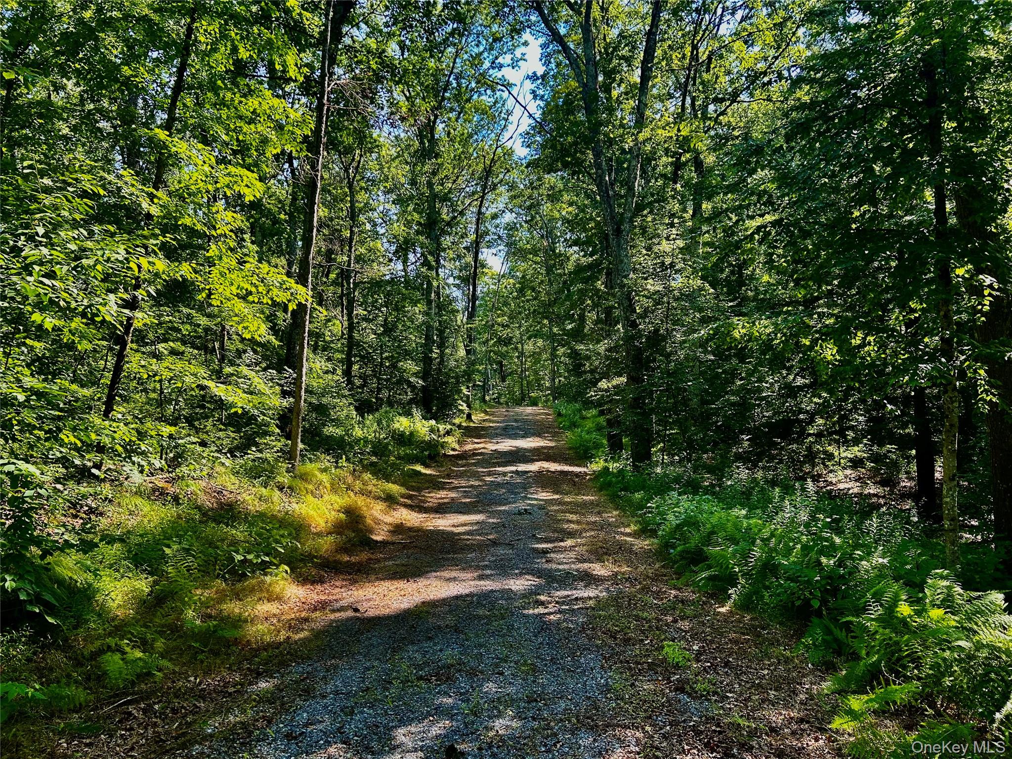 80 Forever Ivy Lane – For Sale photo 11