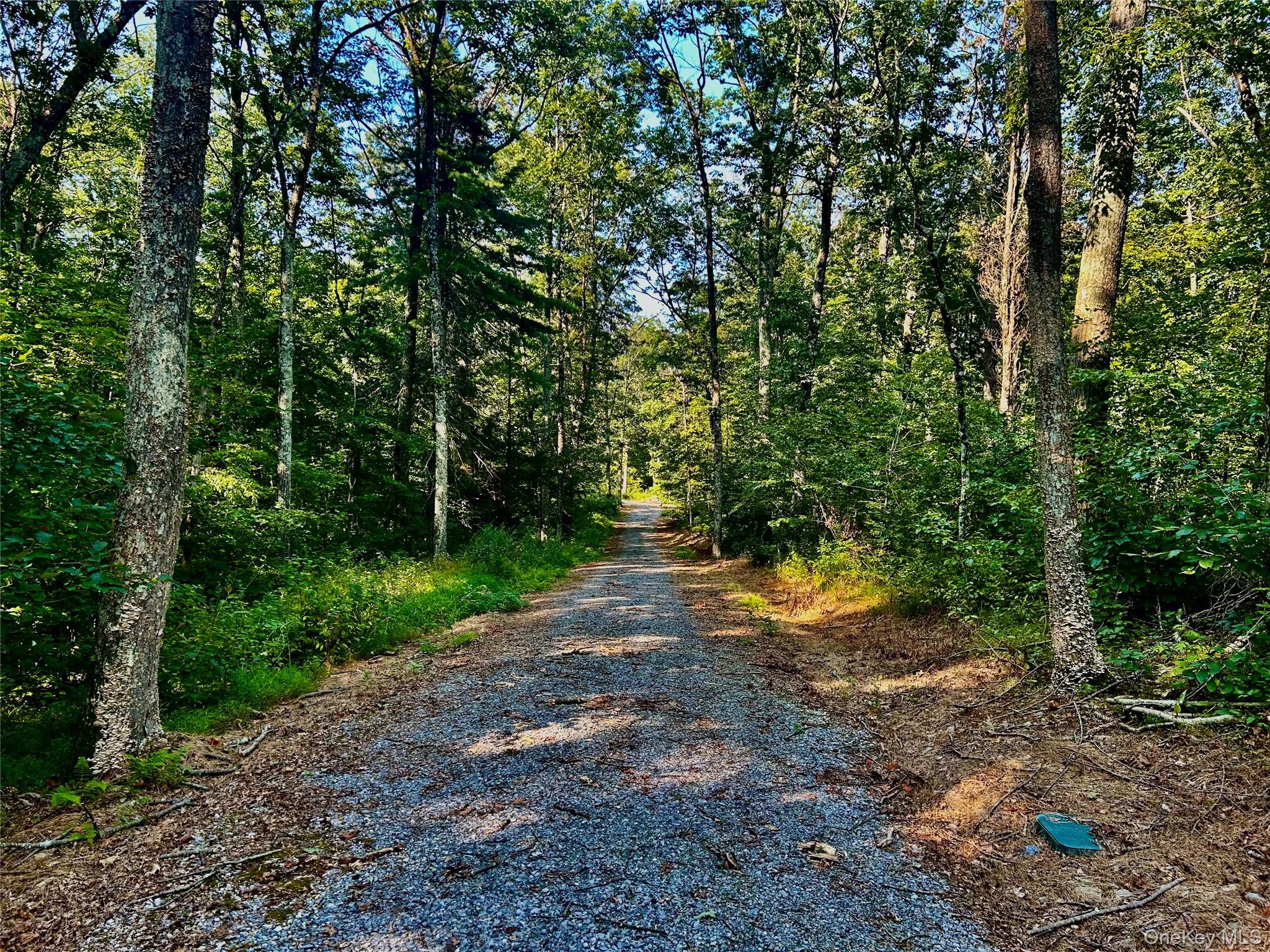 80 Forever Ivy Lane – For Sale photo 20