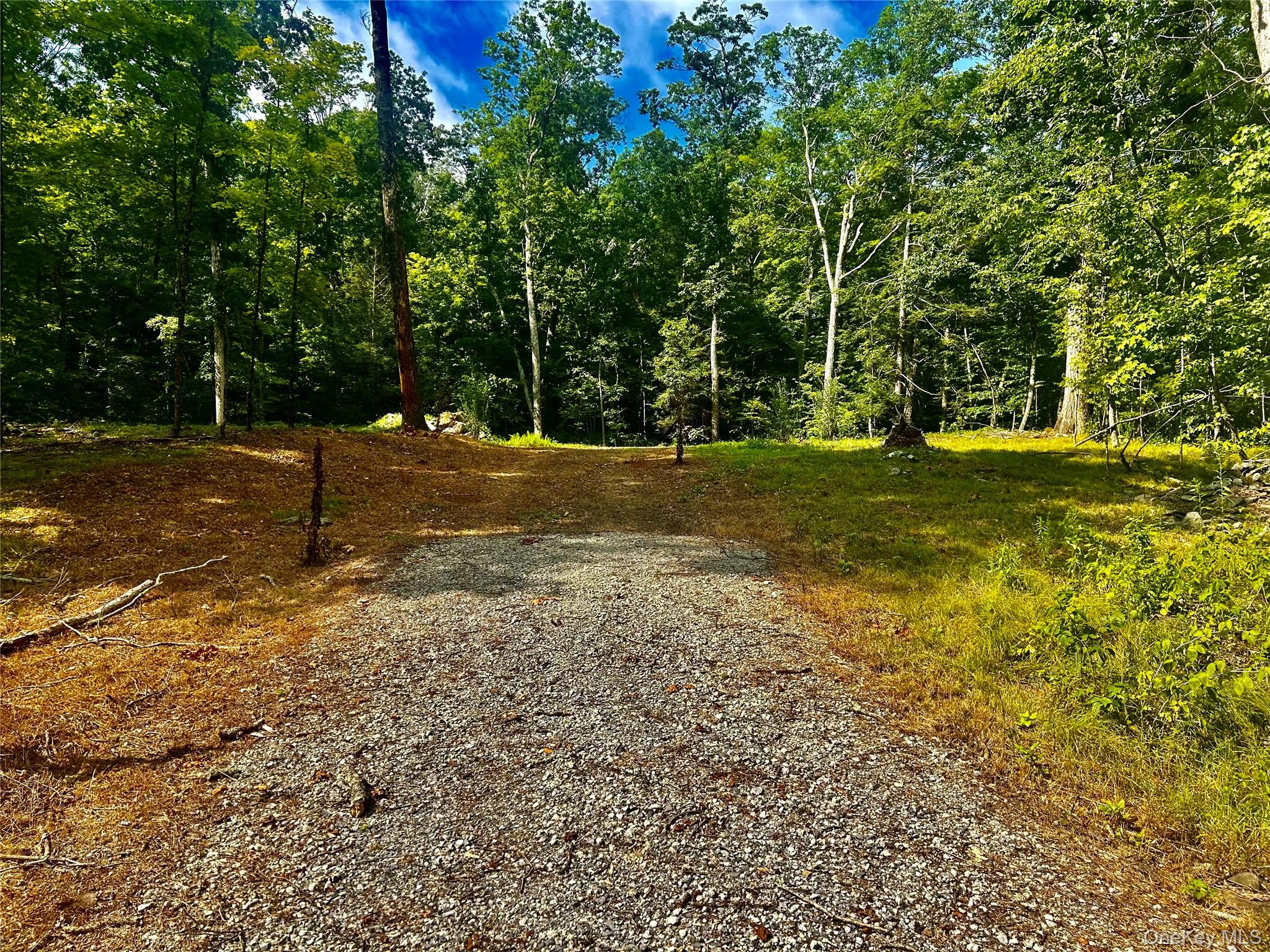 80 Forever Ivy Lane – For Sale photo 3