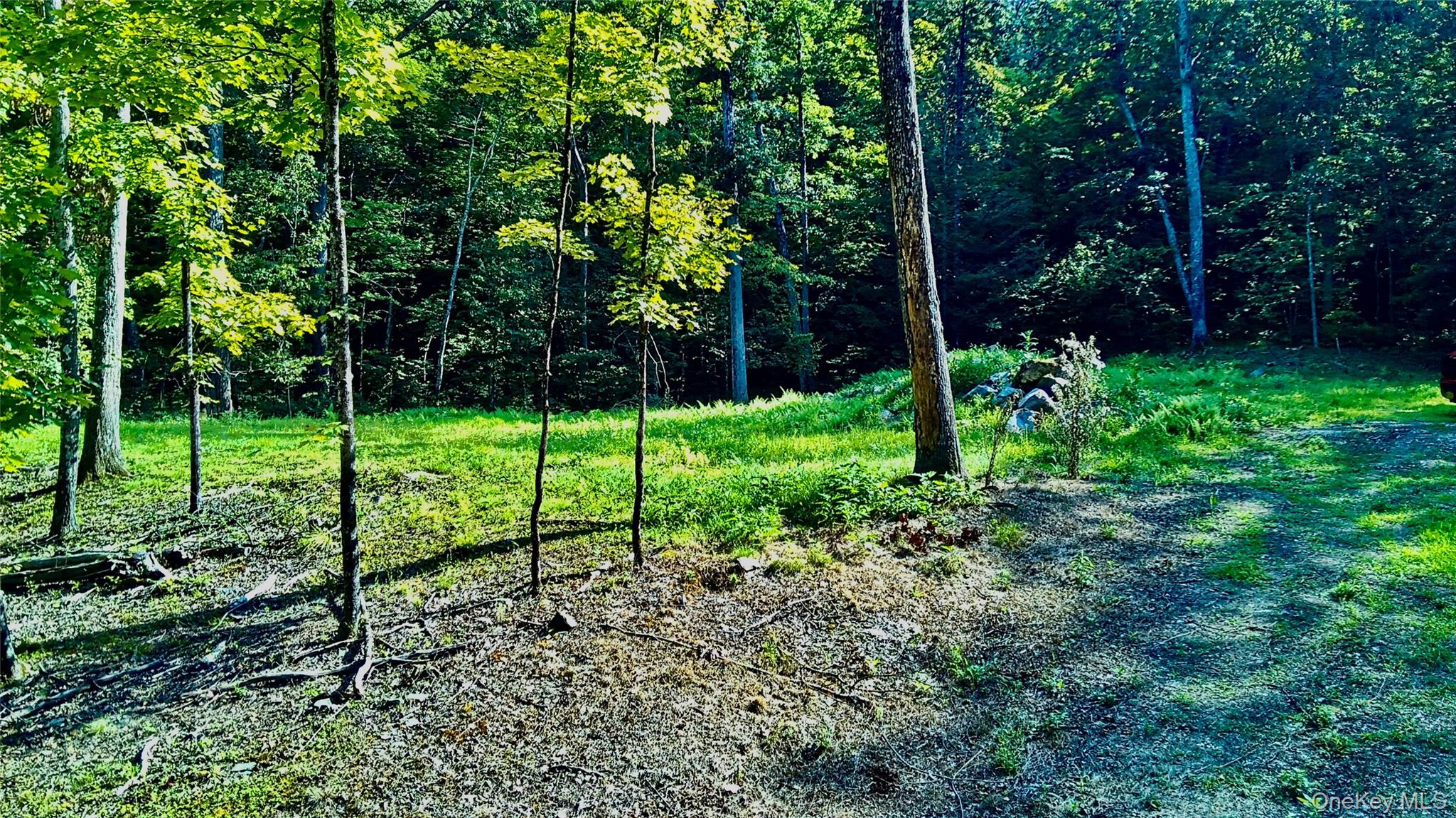 80 Forever Ivy Lane – For Sale photo 25